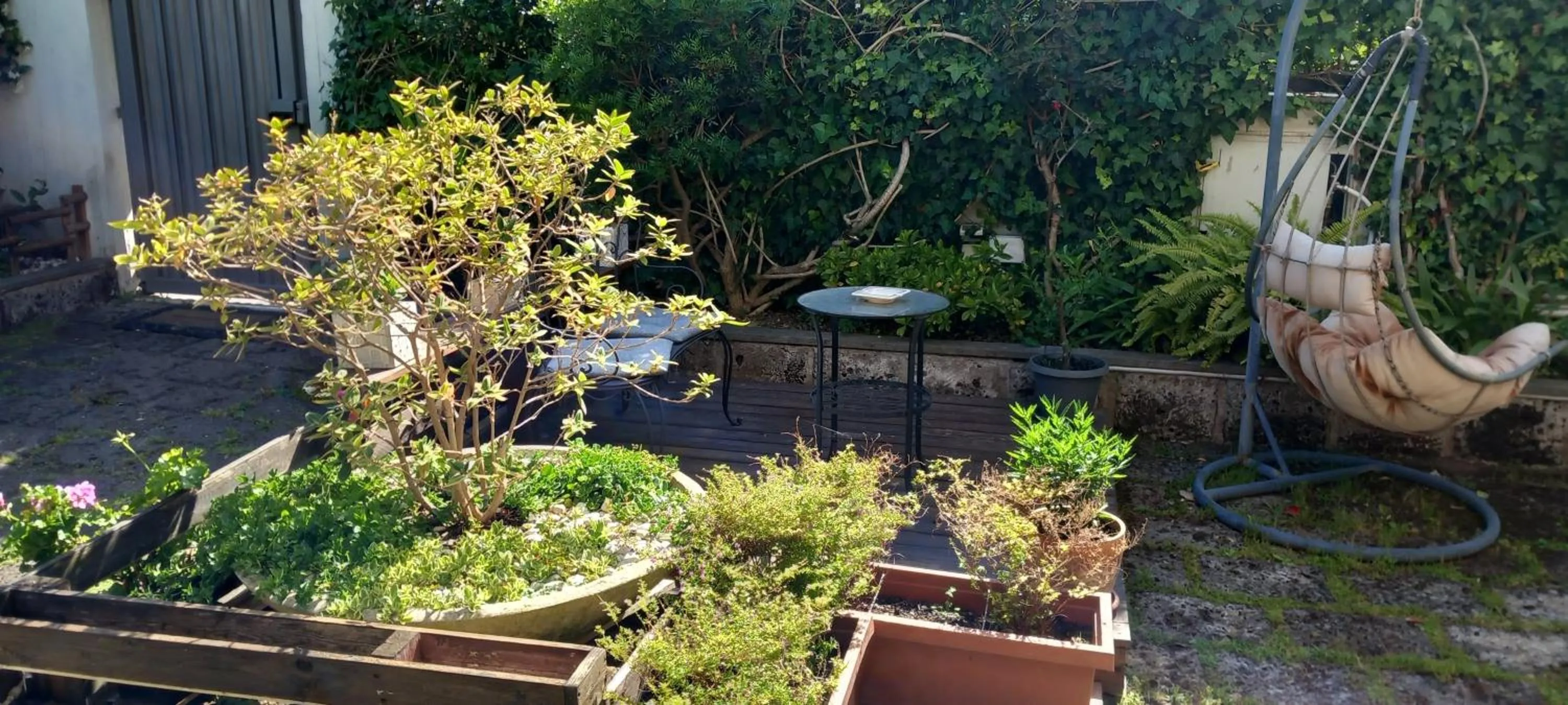 Garden view in B&B Villa Noemi