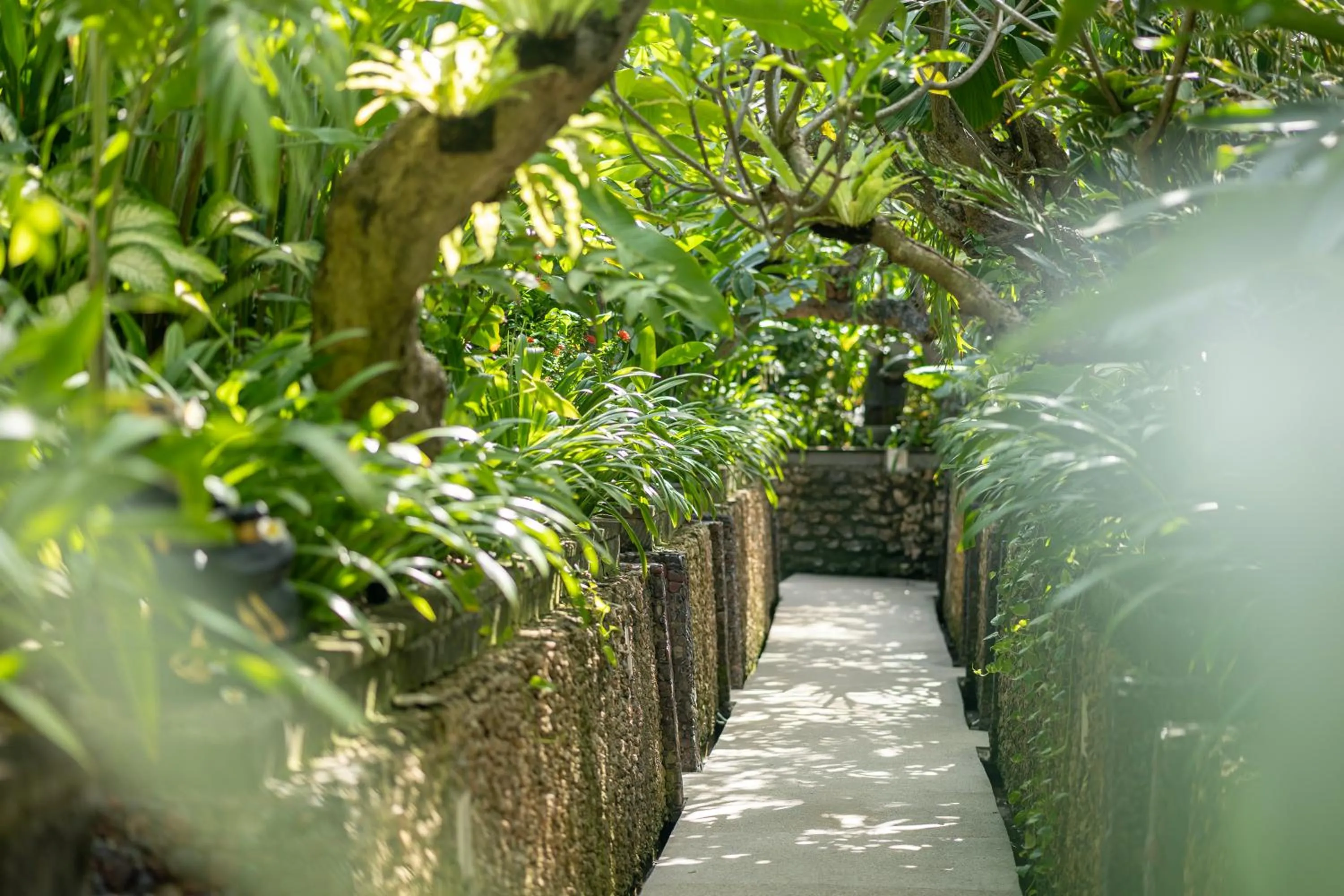 Garden in Kuta Seaview Beach Resort
