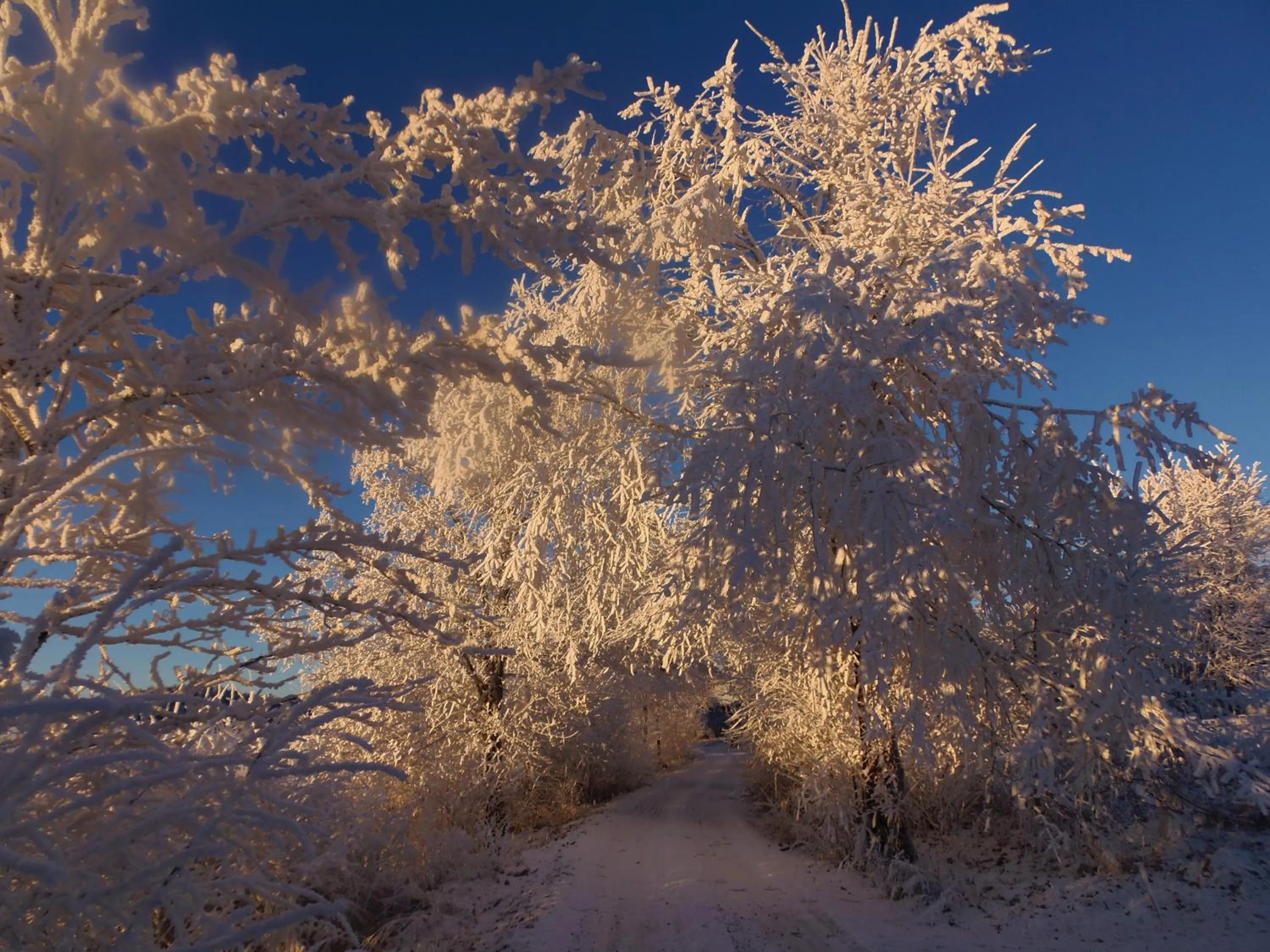 Hotel Stará škola na Šumavě