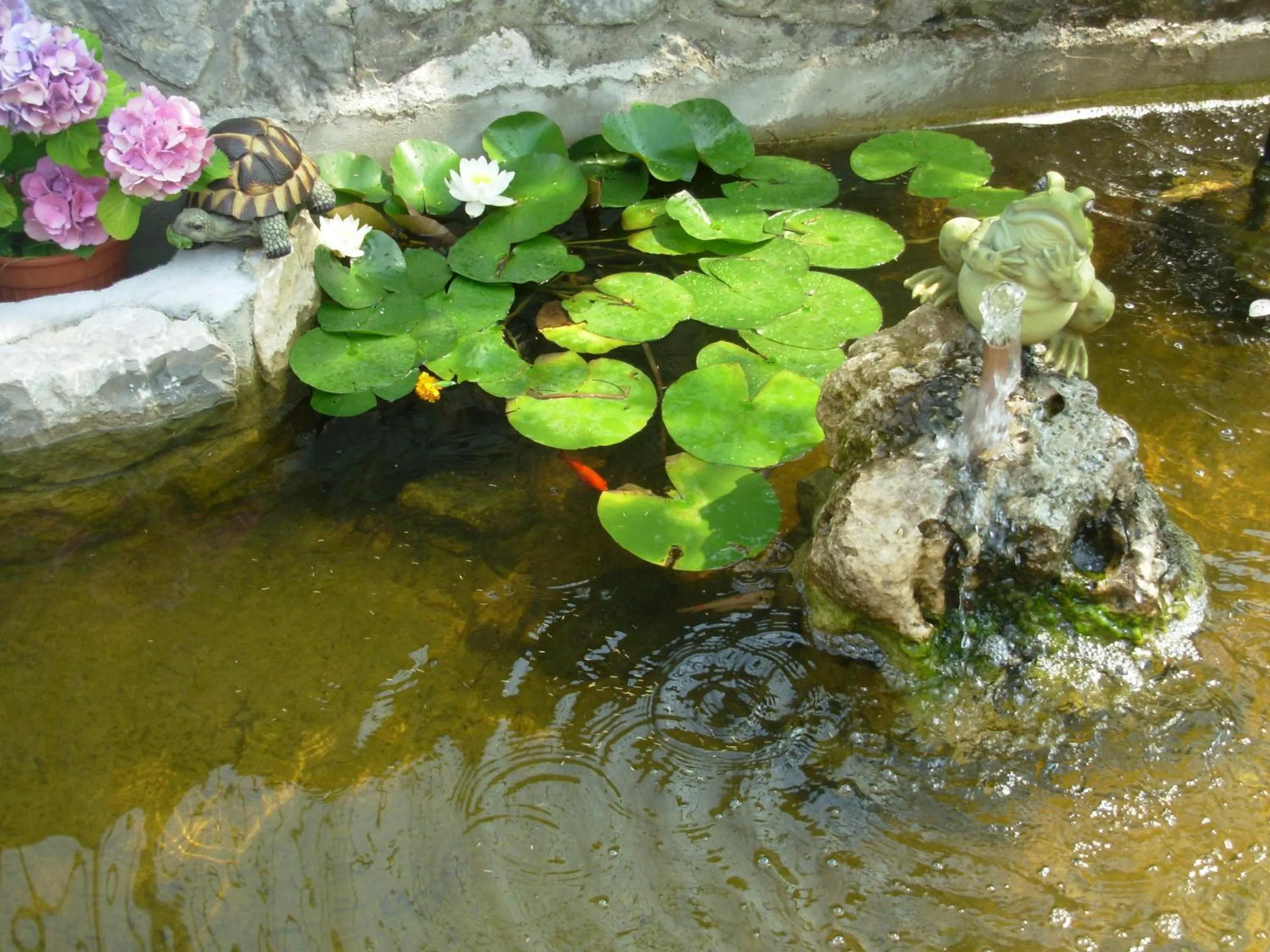 Decorative detail in Villa Due Leoni - Residence