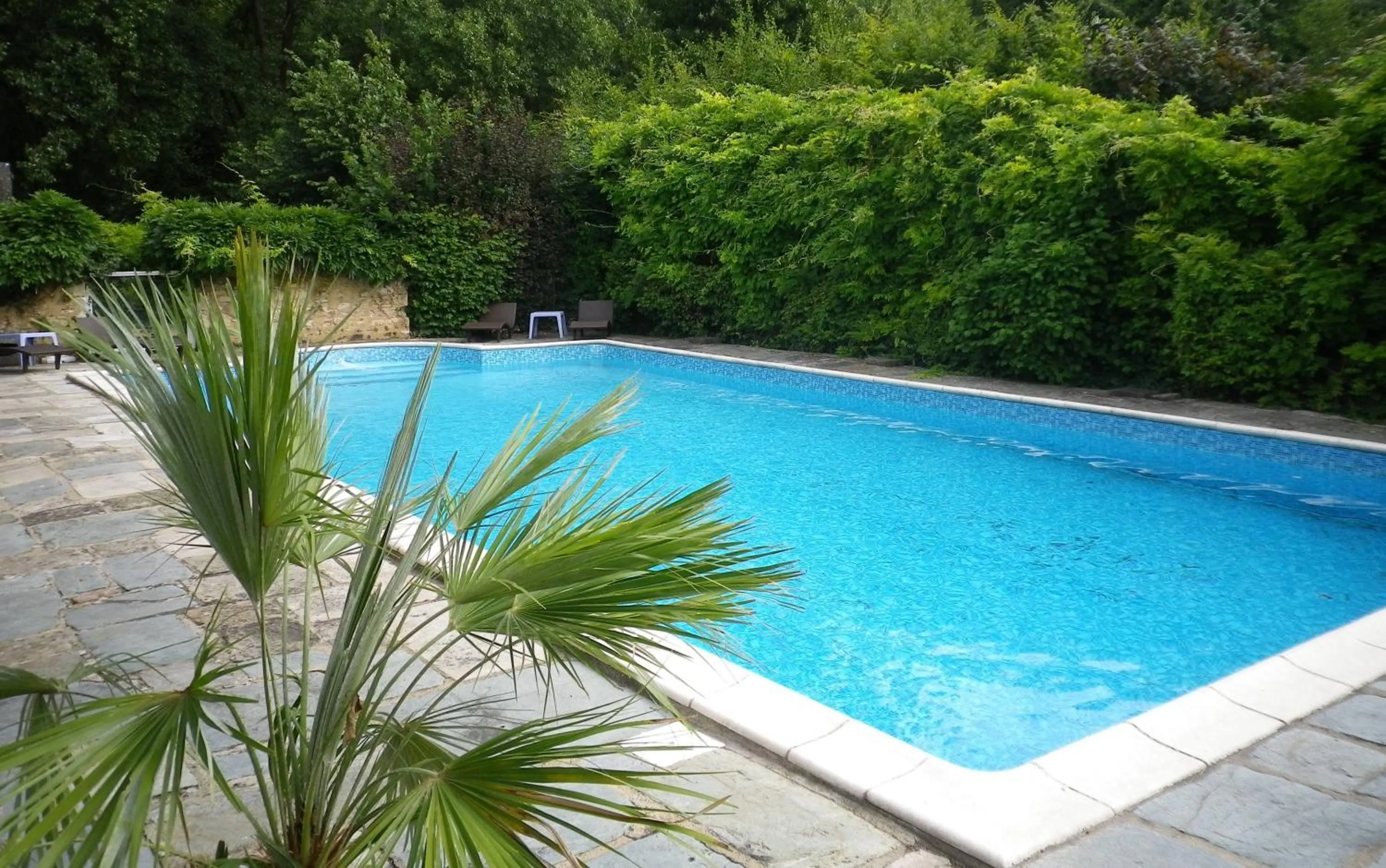 Spring in Hôtel-Restaurant Ricordeau