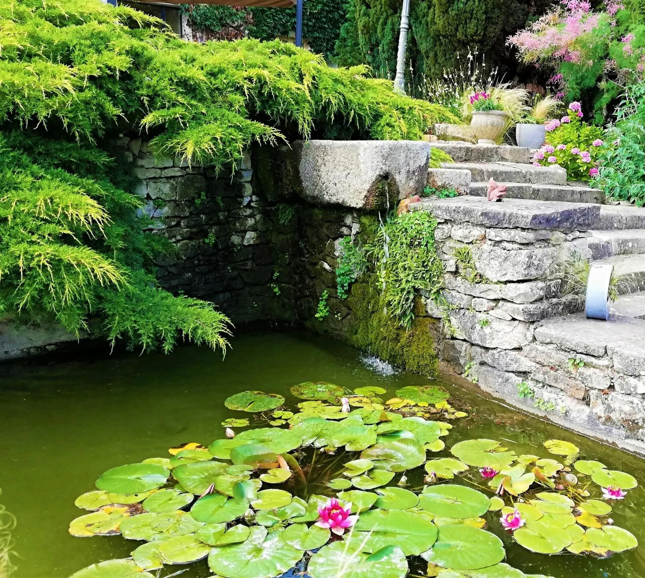 Garden in Hôtel-Restaurant Ricordeau