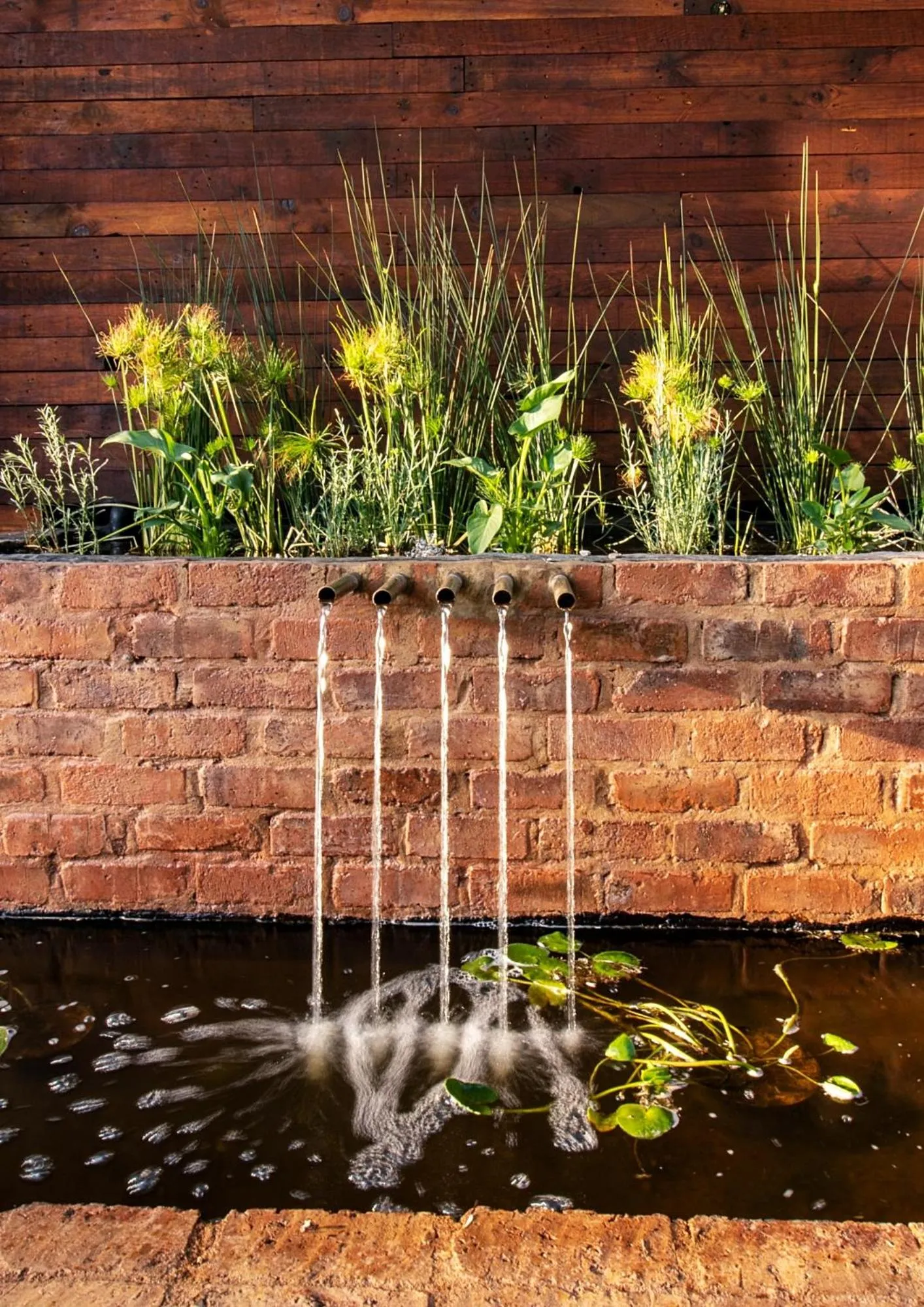 Swimming pool in The Doors Inn