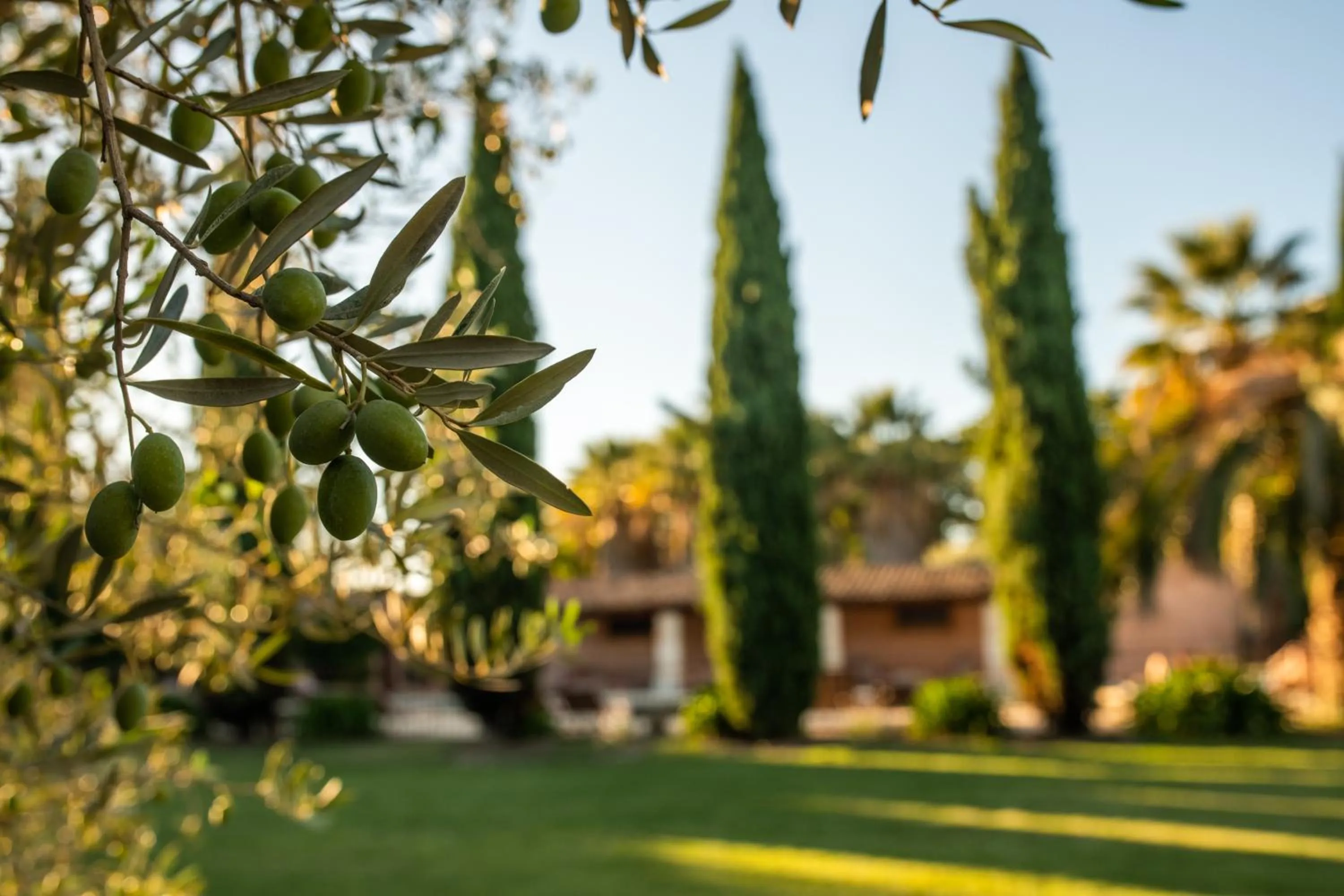 Garden in HOTEL et APPARTEMENTS DOMAINE DES CLOS - Teritoria