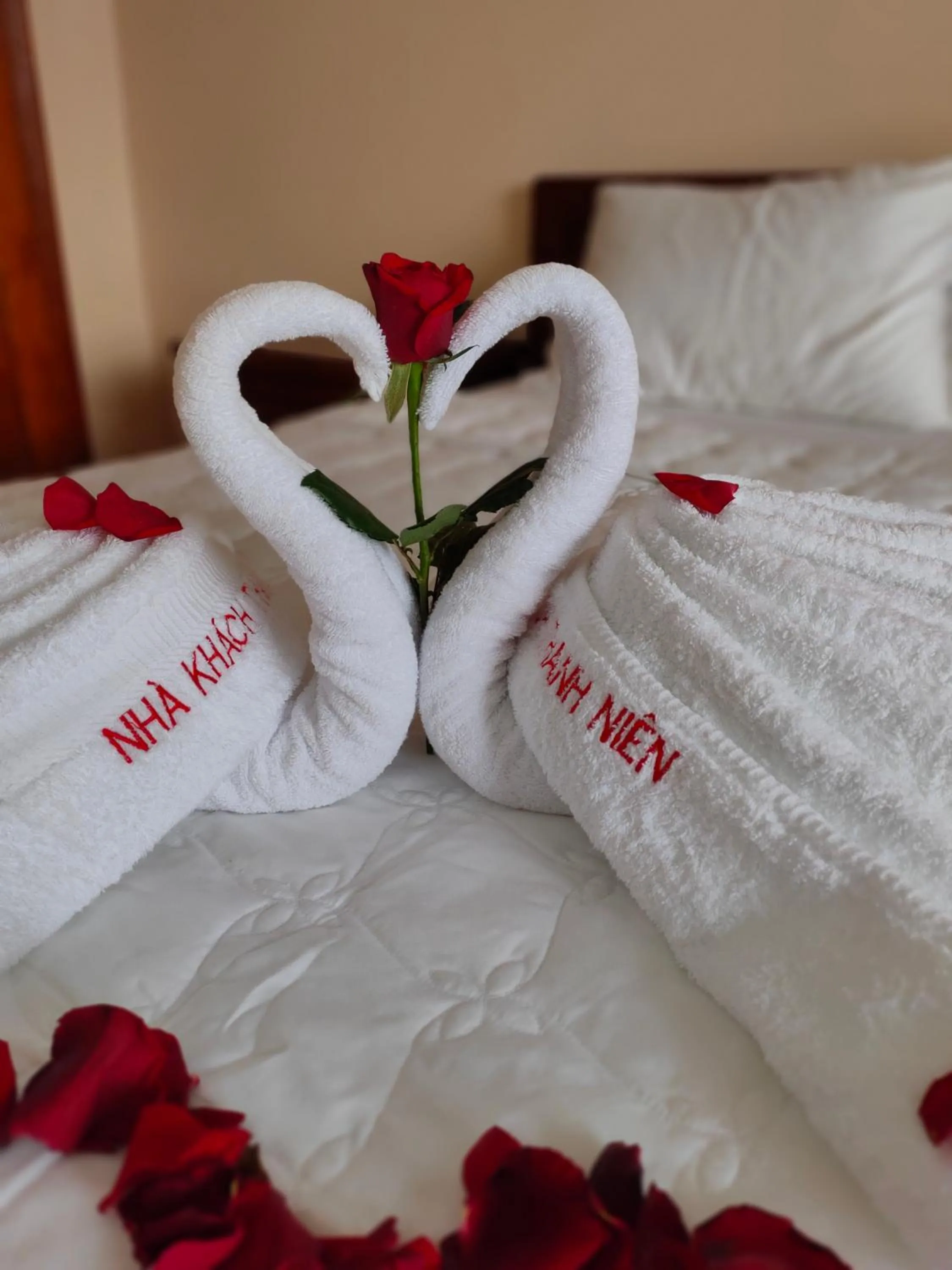 Bed in Thanh Nien Hotel - Vung Tau