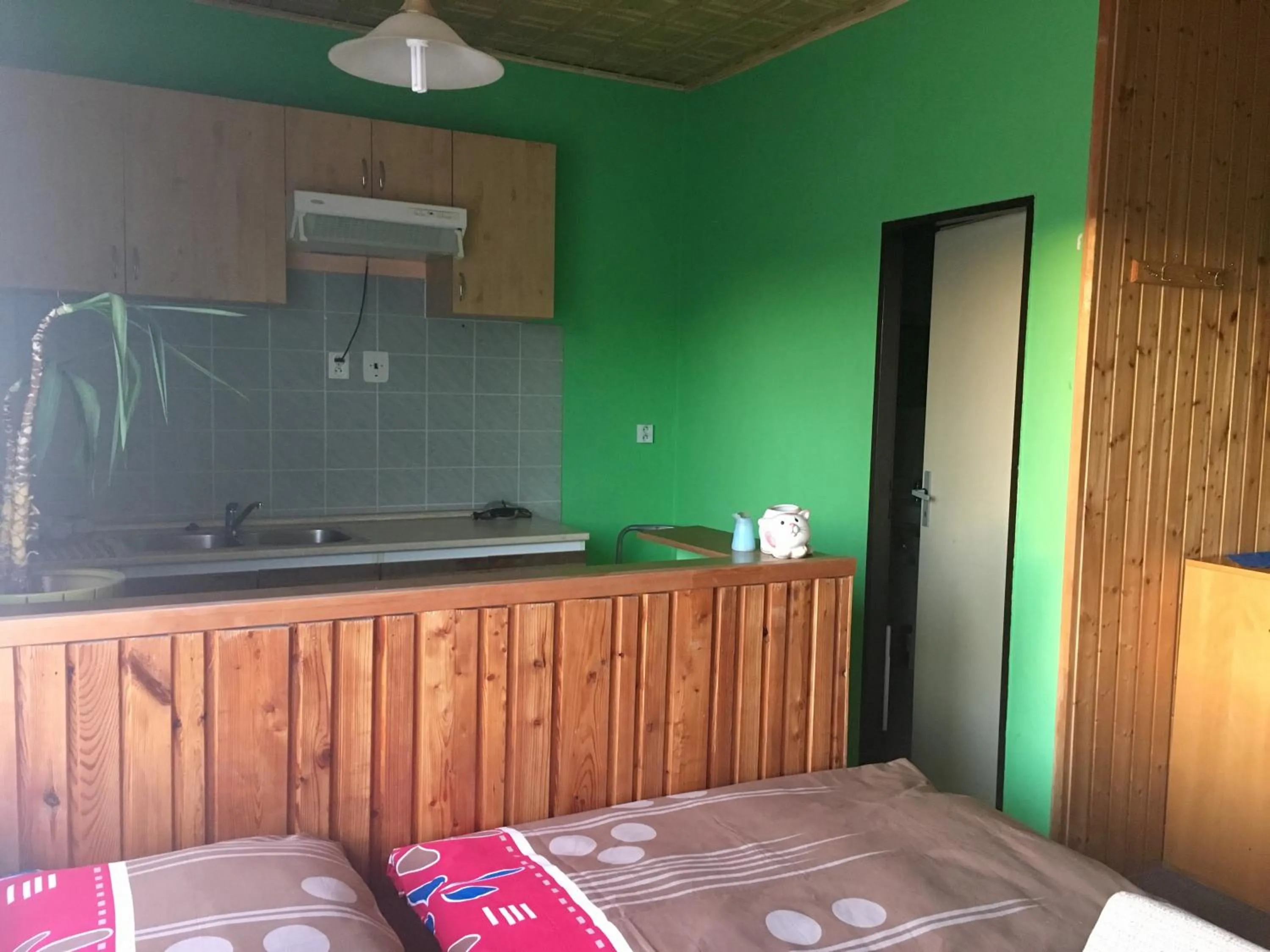 Kitchen or kitchenette in Hotel Na Trojce