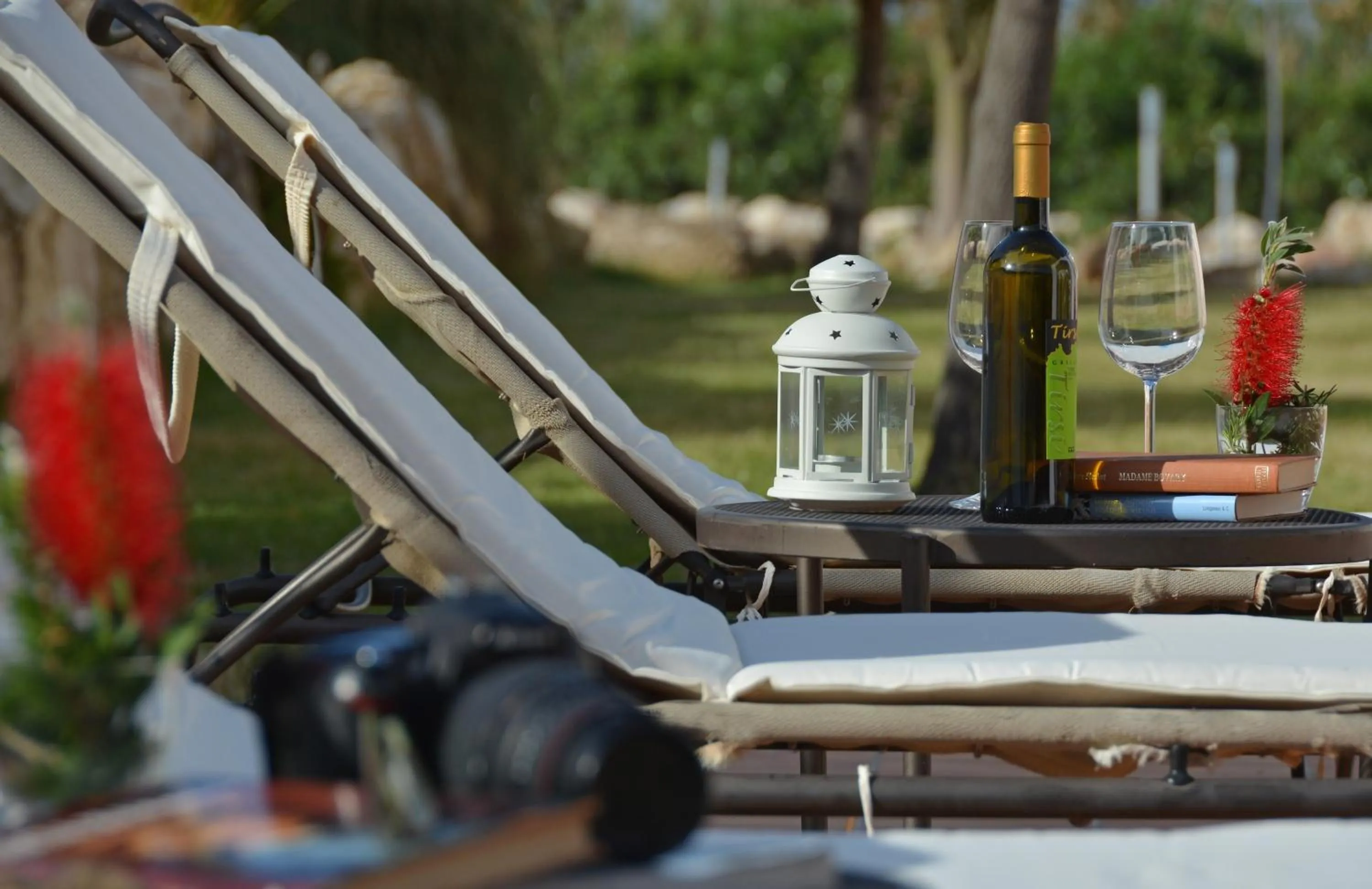 Patio in Tenute Plaia Agriturismo