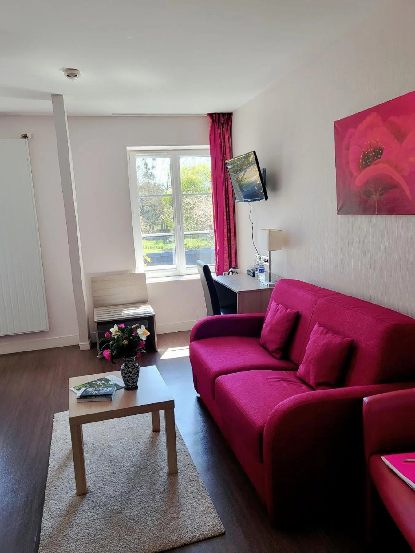 TV and multimedia in Logis Hôtel De France- Restaurant GRILL