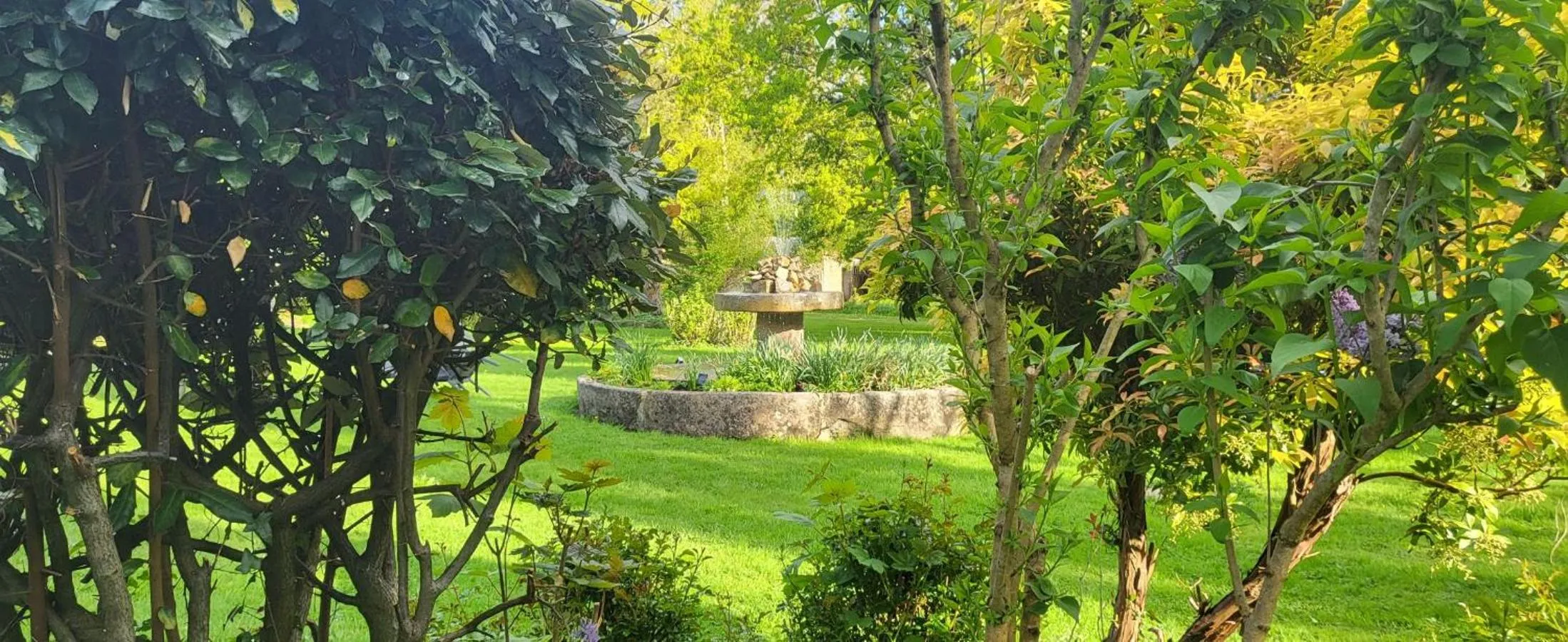 Garden in Logis Hôtel De France- Restaurant GRILL