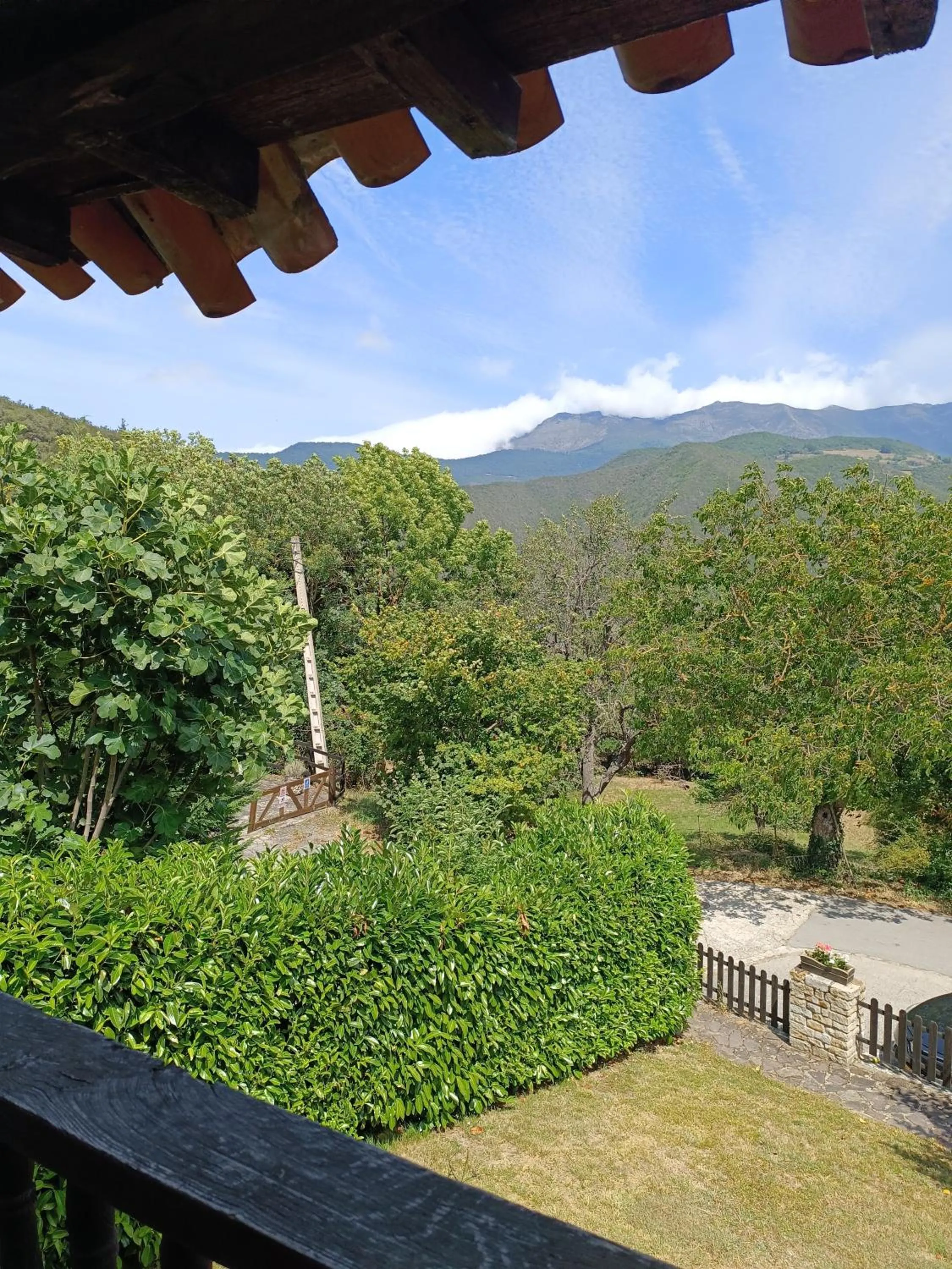 Garden view in Viviendas Rurales El Covaju