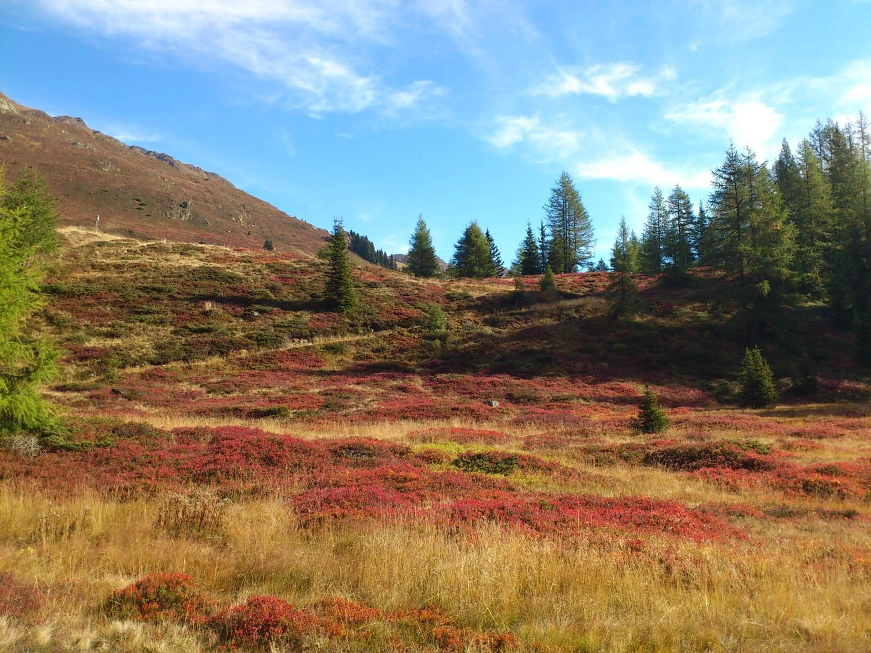 Autumn in Hotel Sunshine Superior "ADULTS ONLY" Ischgl - Kappl