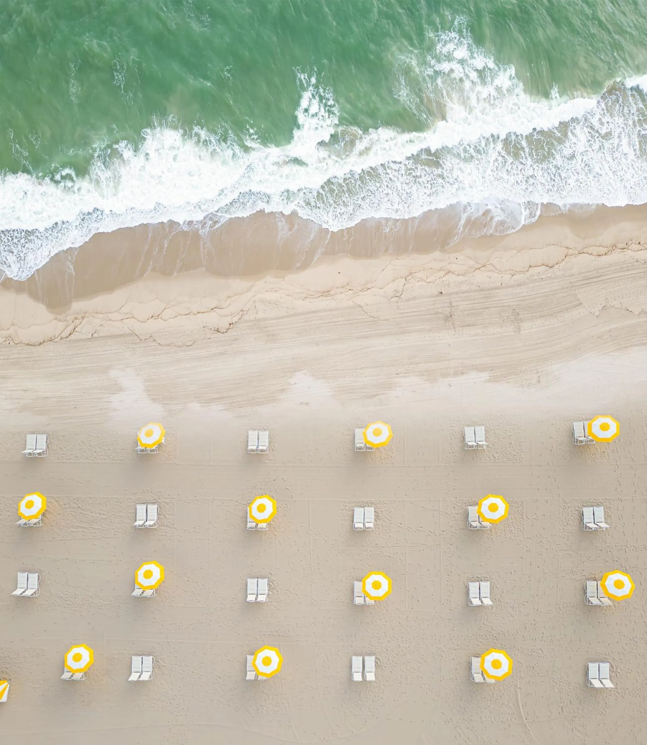 Beach in The Lago Mar Beach Resort and Club