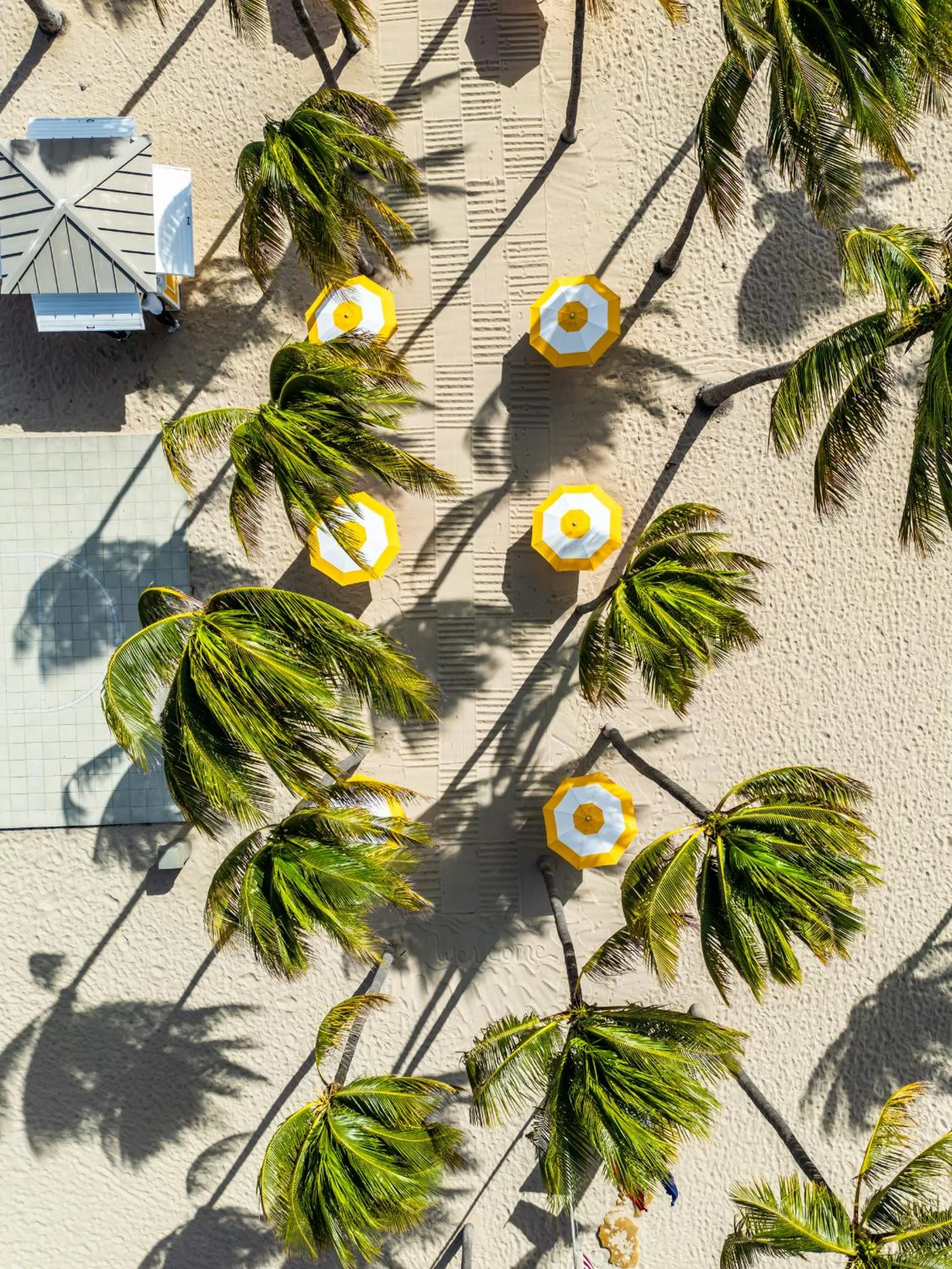 Beach in The Lago Mar Beach Resort and Club