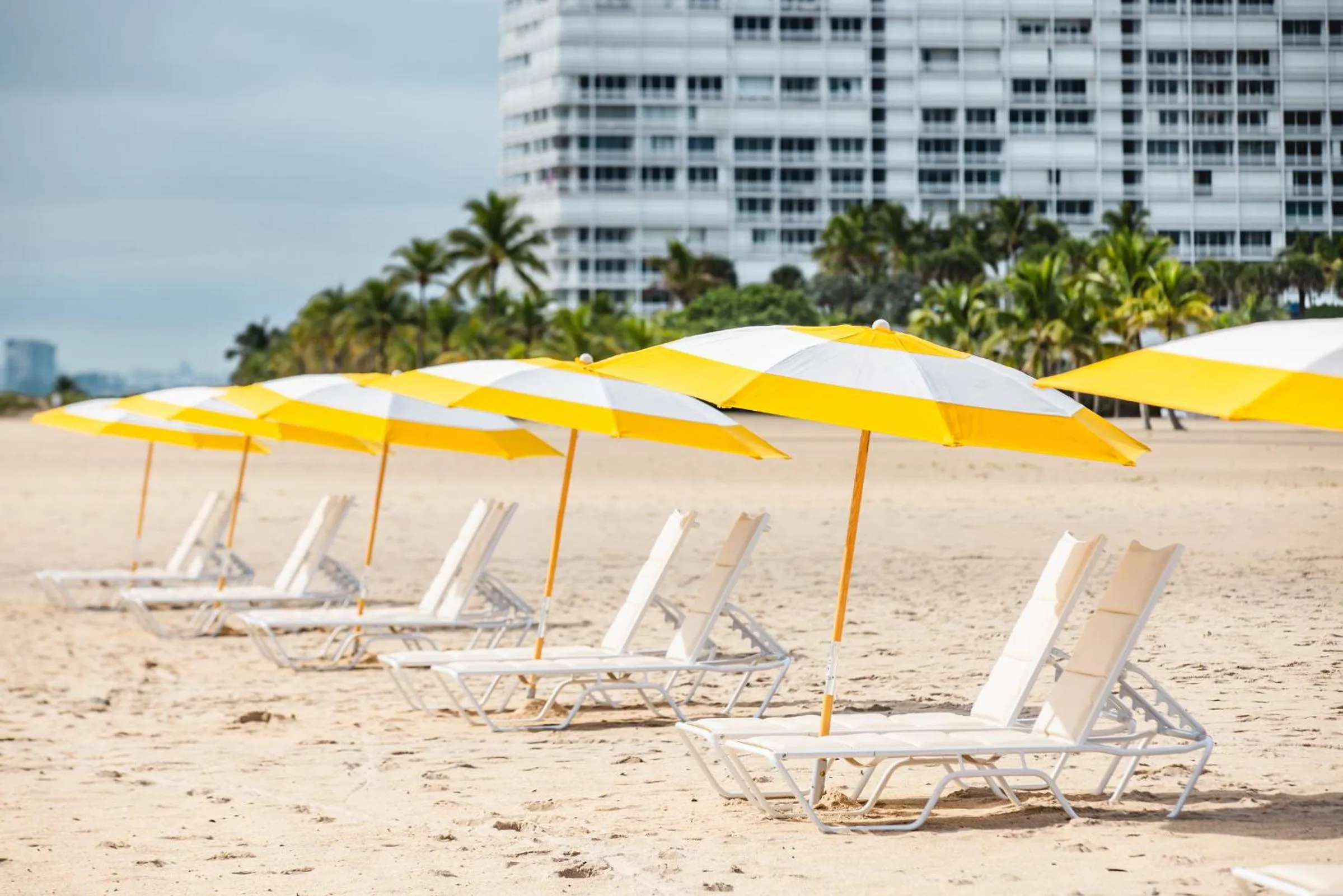 sunbed in The Lago Mar Beach Resort and Club