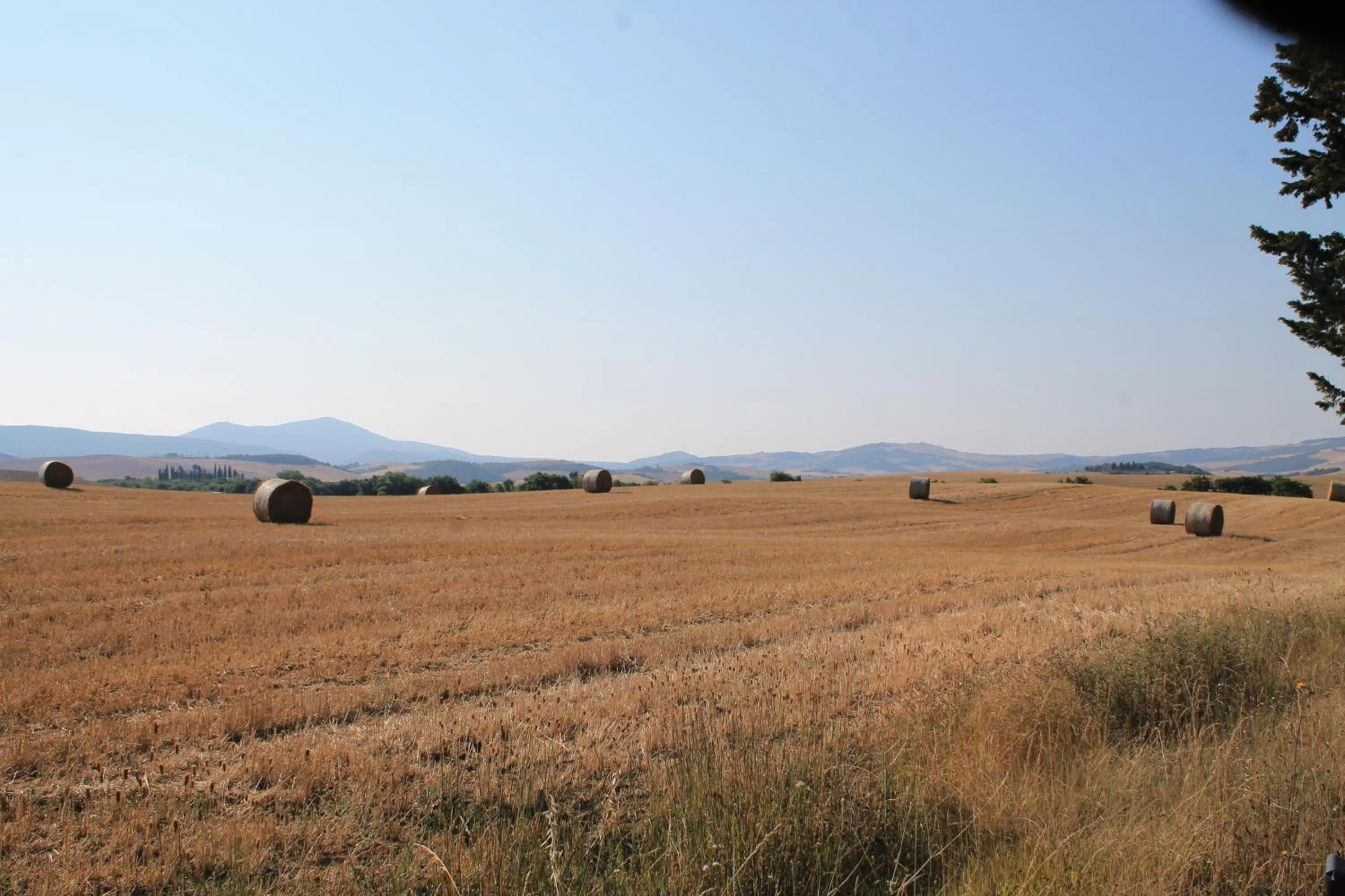 Natural landscape in Palazzo Palesa