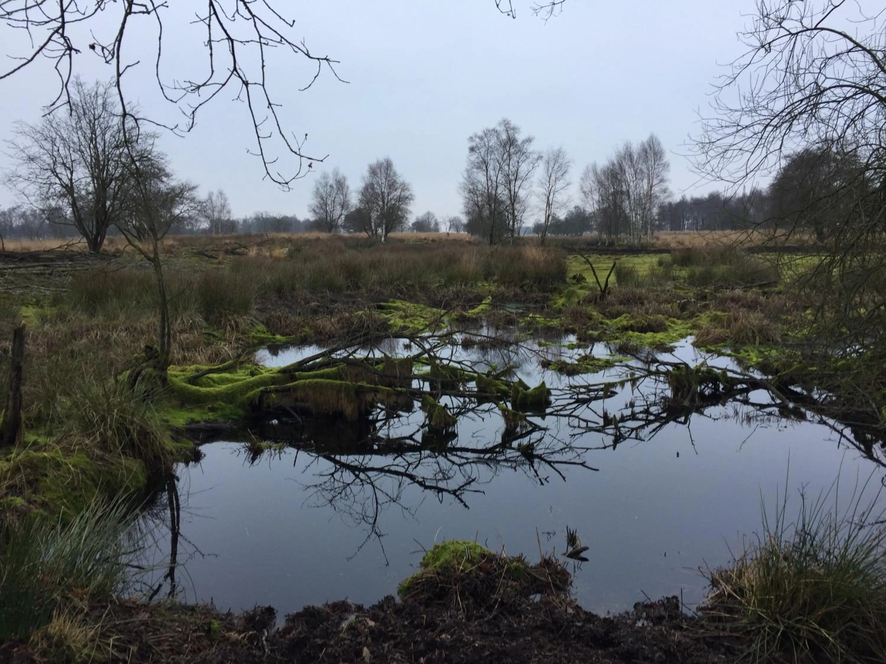 Nearby landmark in De Drie Berken