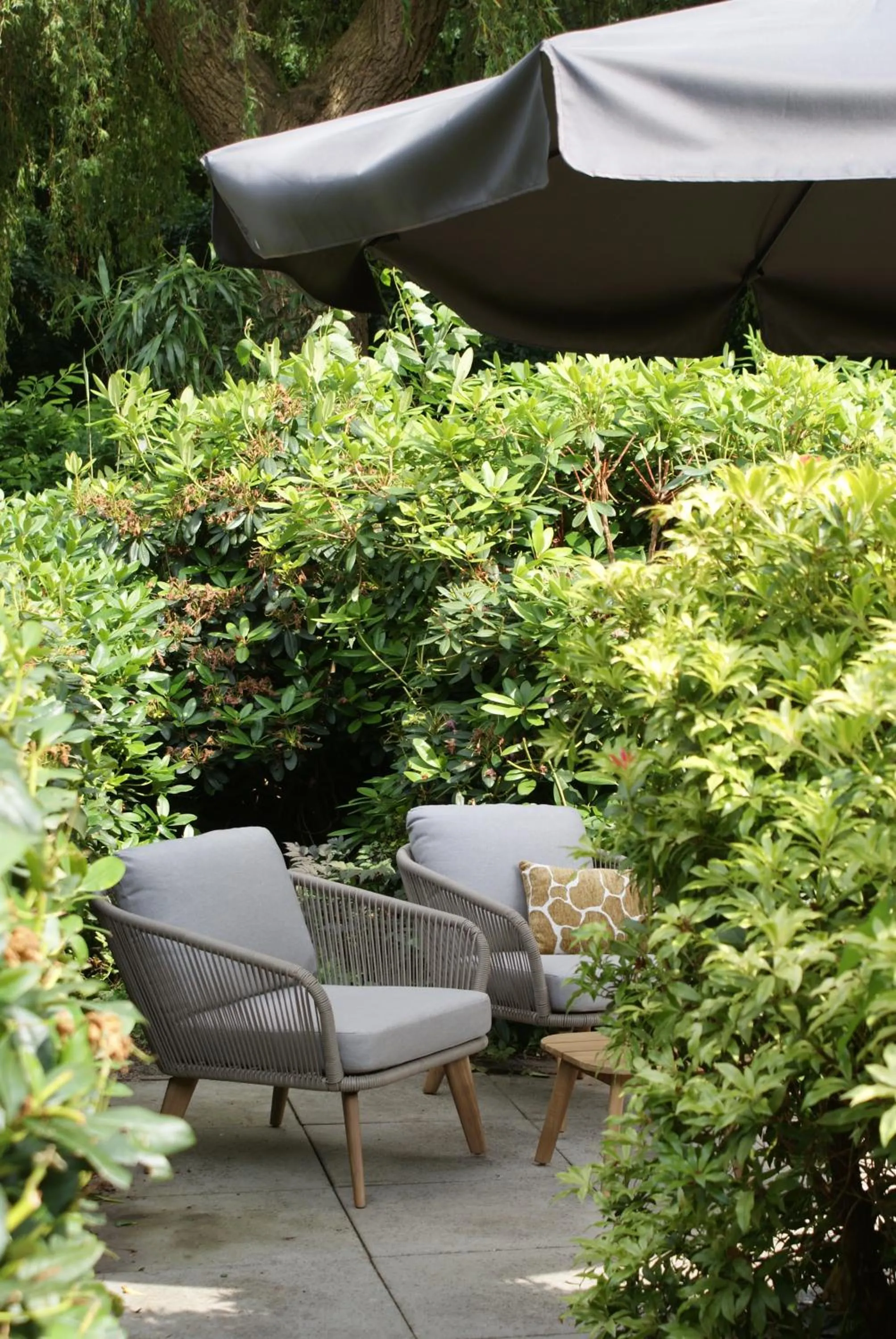 Spring in De Drie Berken