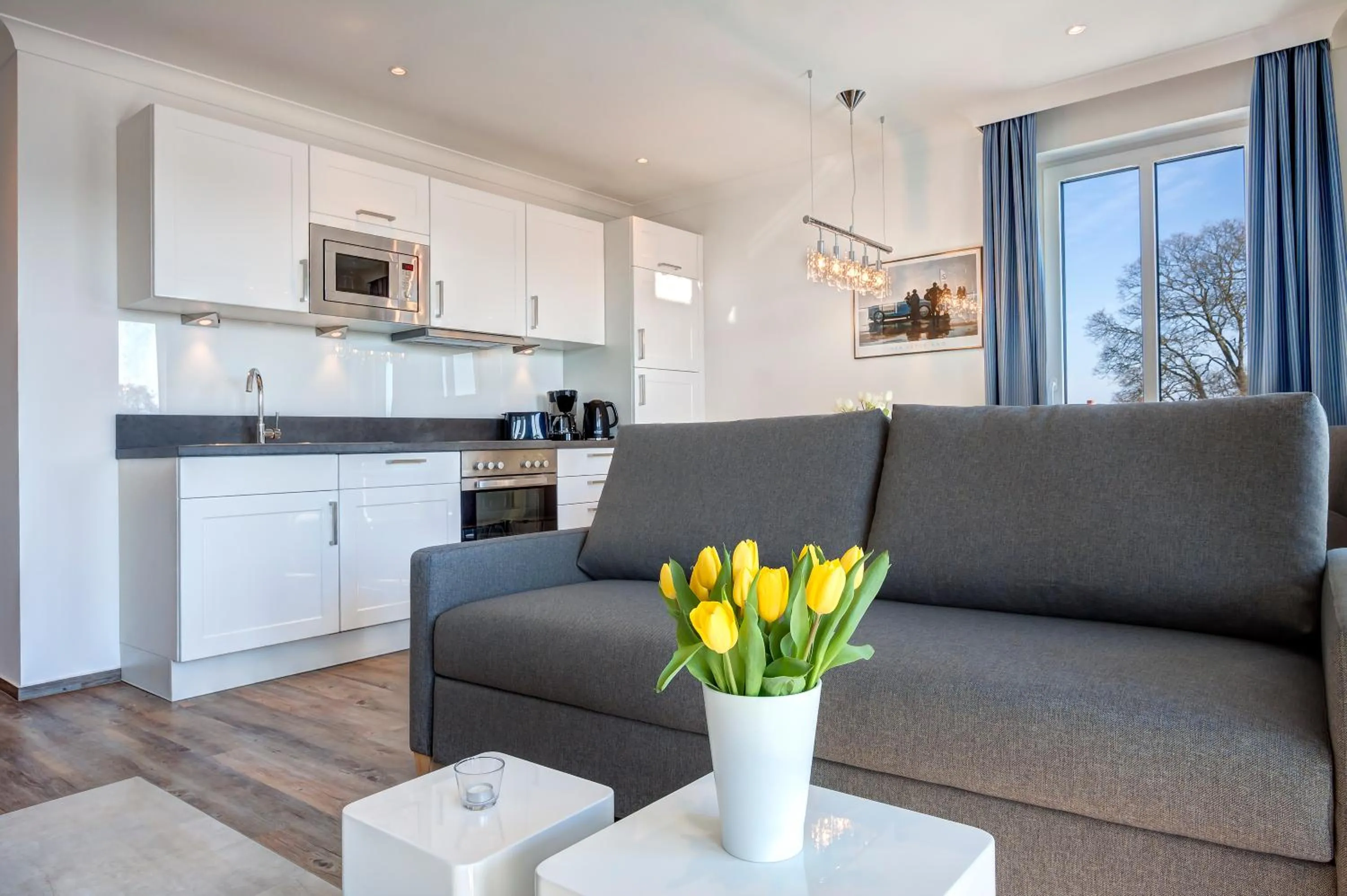 Kitchen or kitchenette in Aparthotel Villa Lea