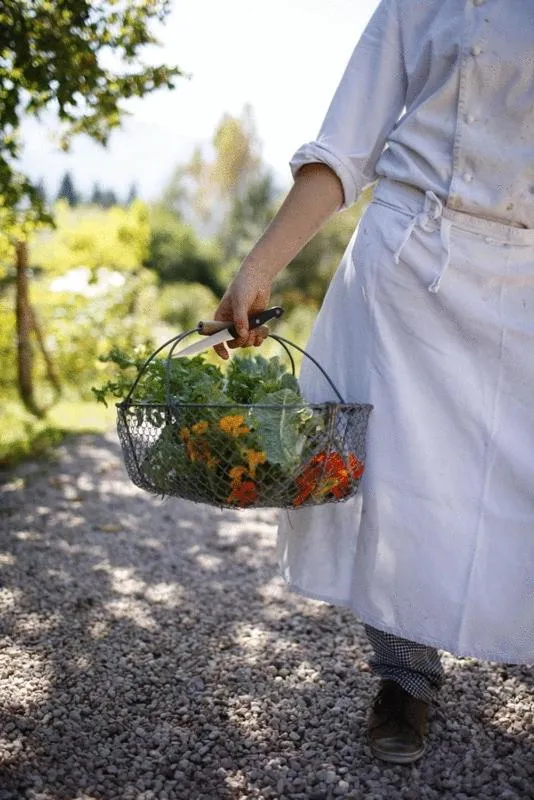 Food in Biohotel Grafenast