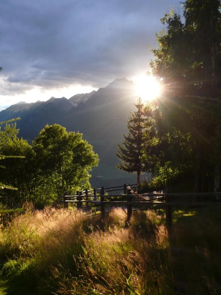 Other in Biohotel Grafenast