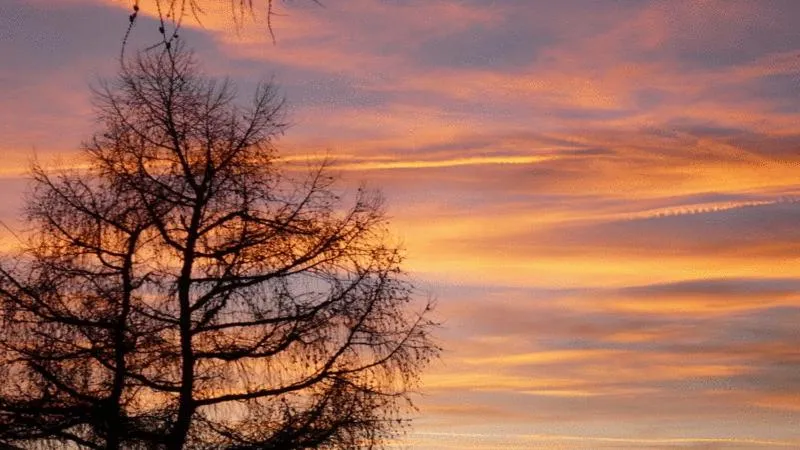 Other in Biohotel Grafenast