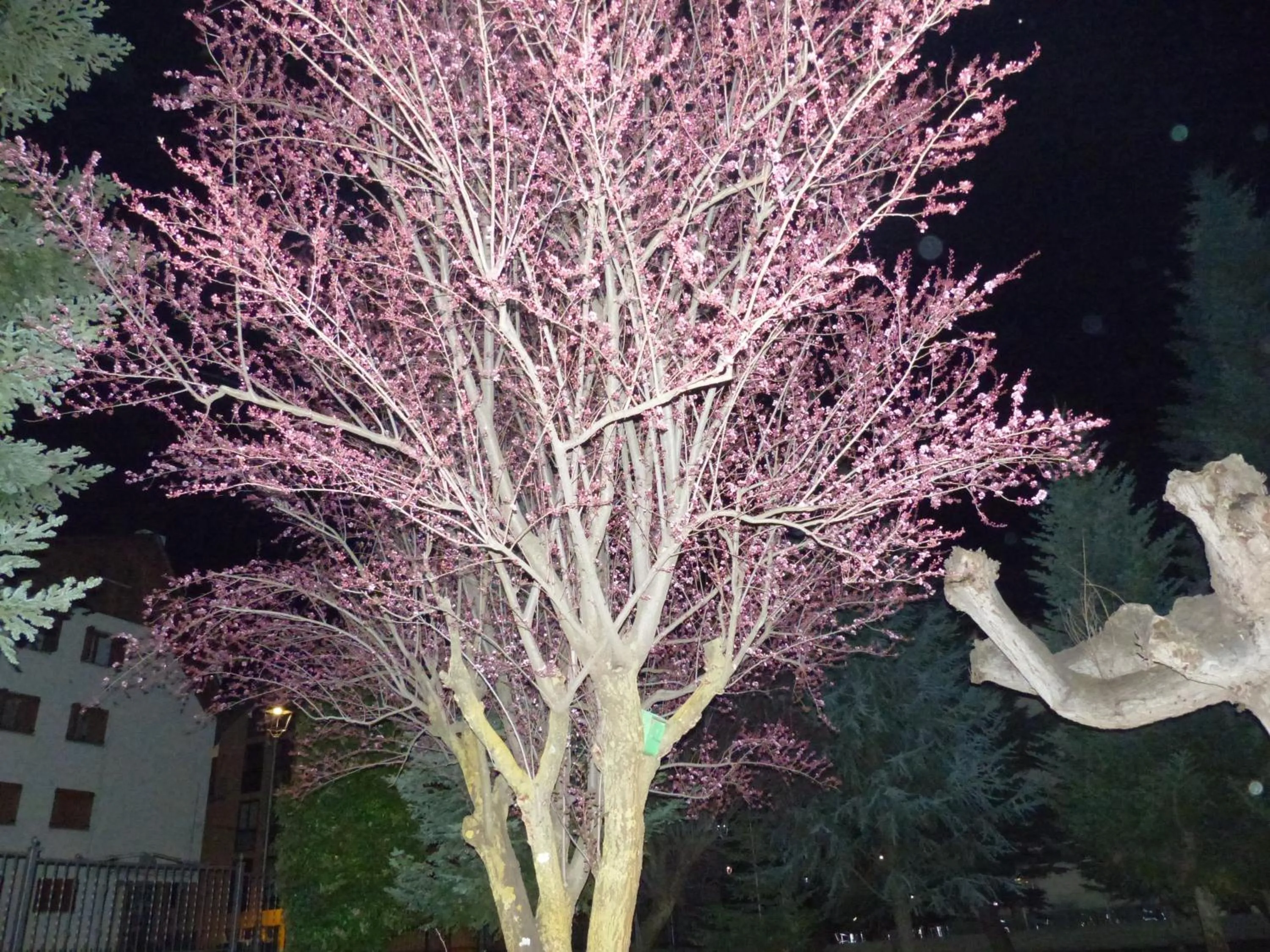 Night in Hostal Vall D'Aneu by Arcas & Sambola