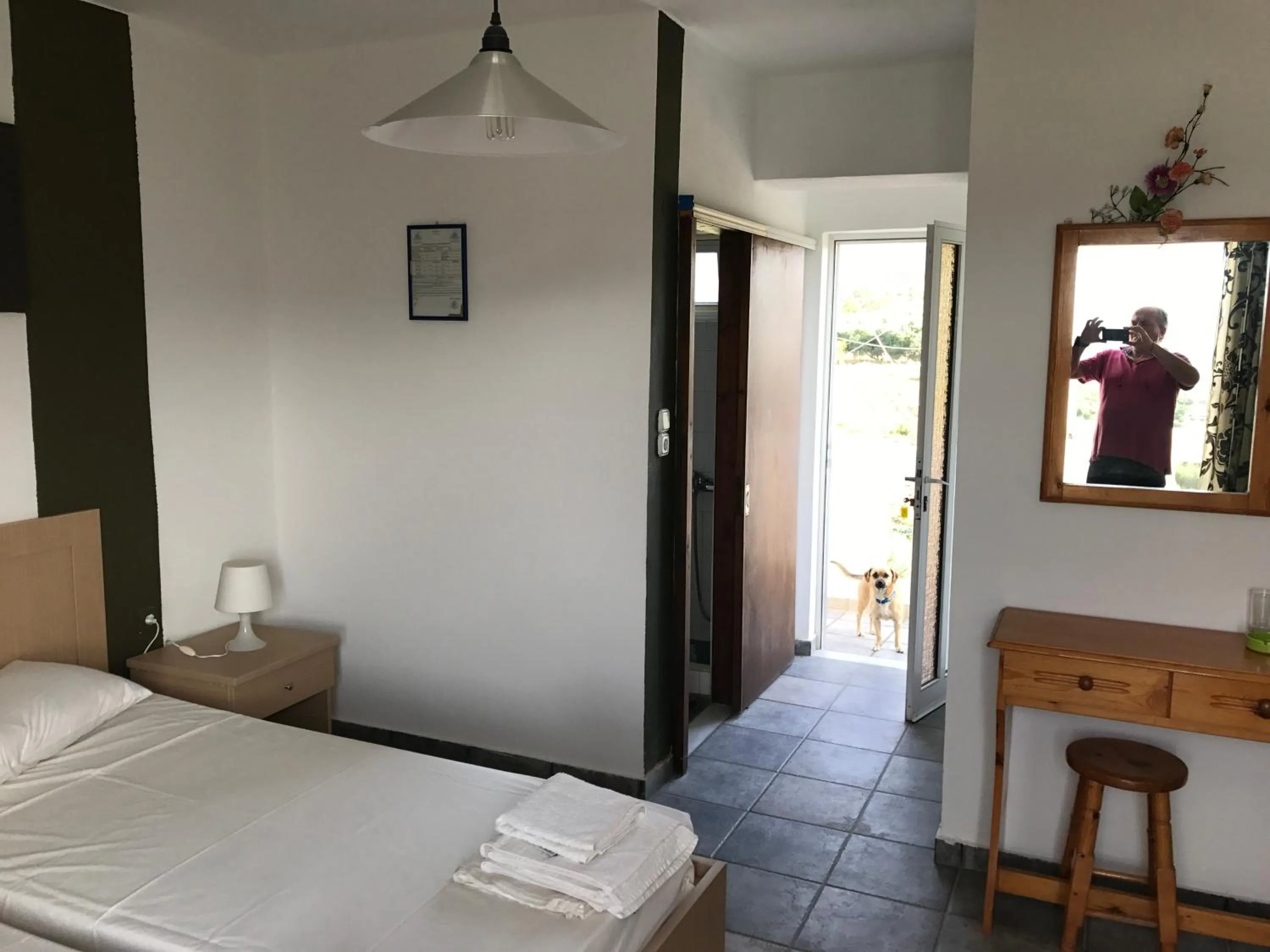 Pets in Tholos Rooms