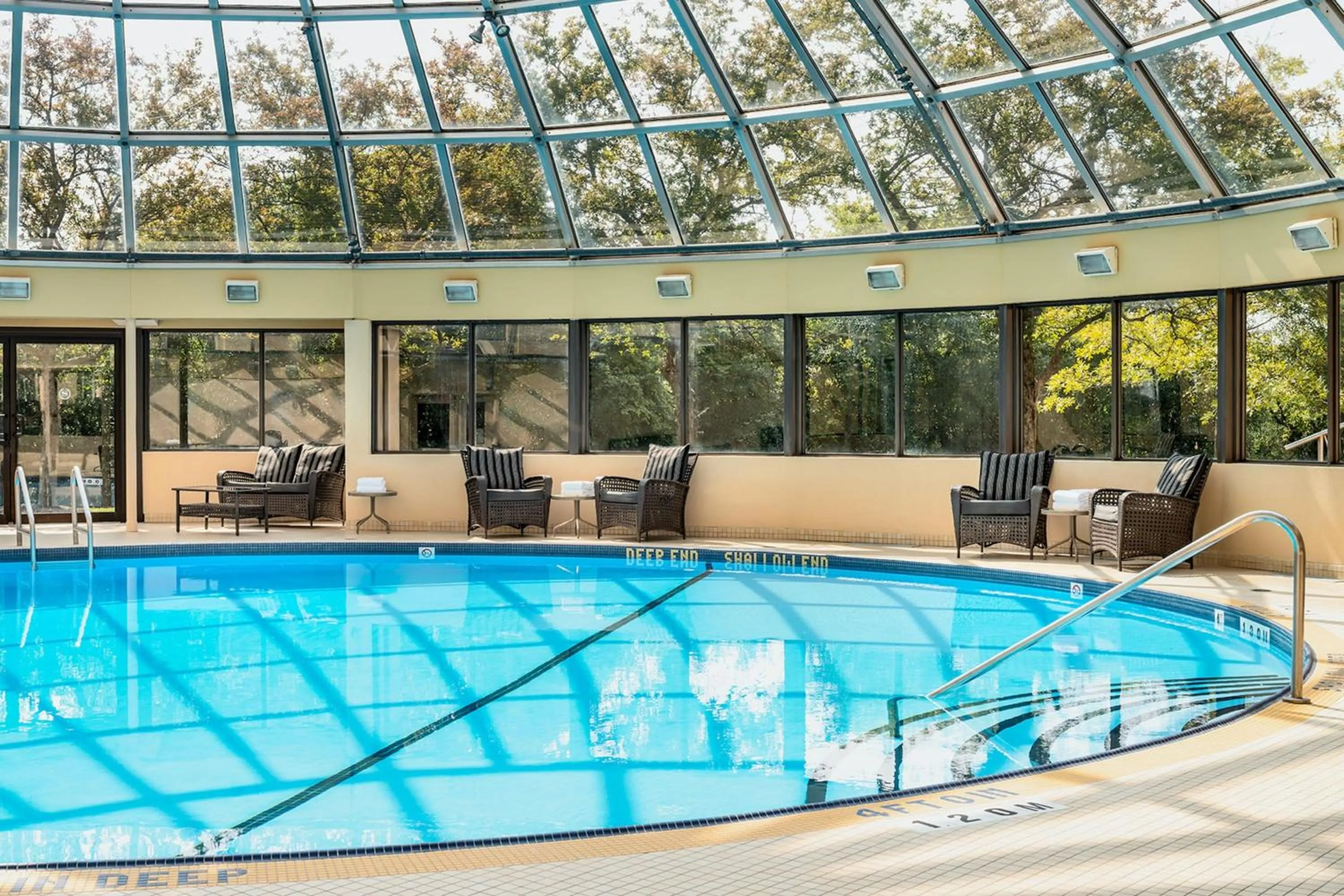 Swimming pool in Sheraton Toronto Airport Hotel & Conference Centre