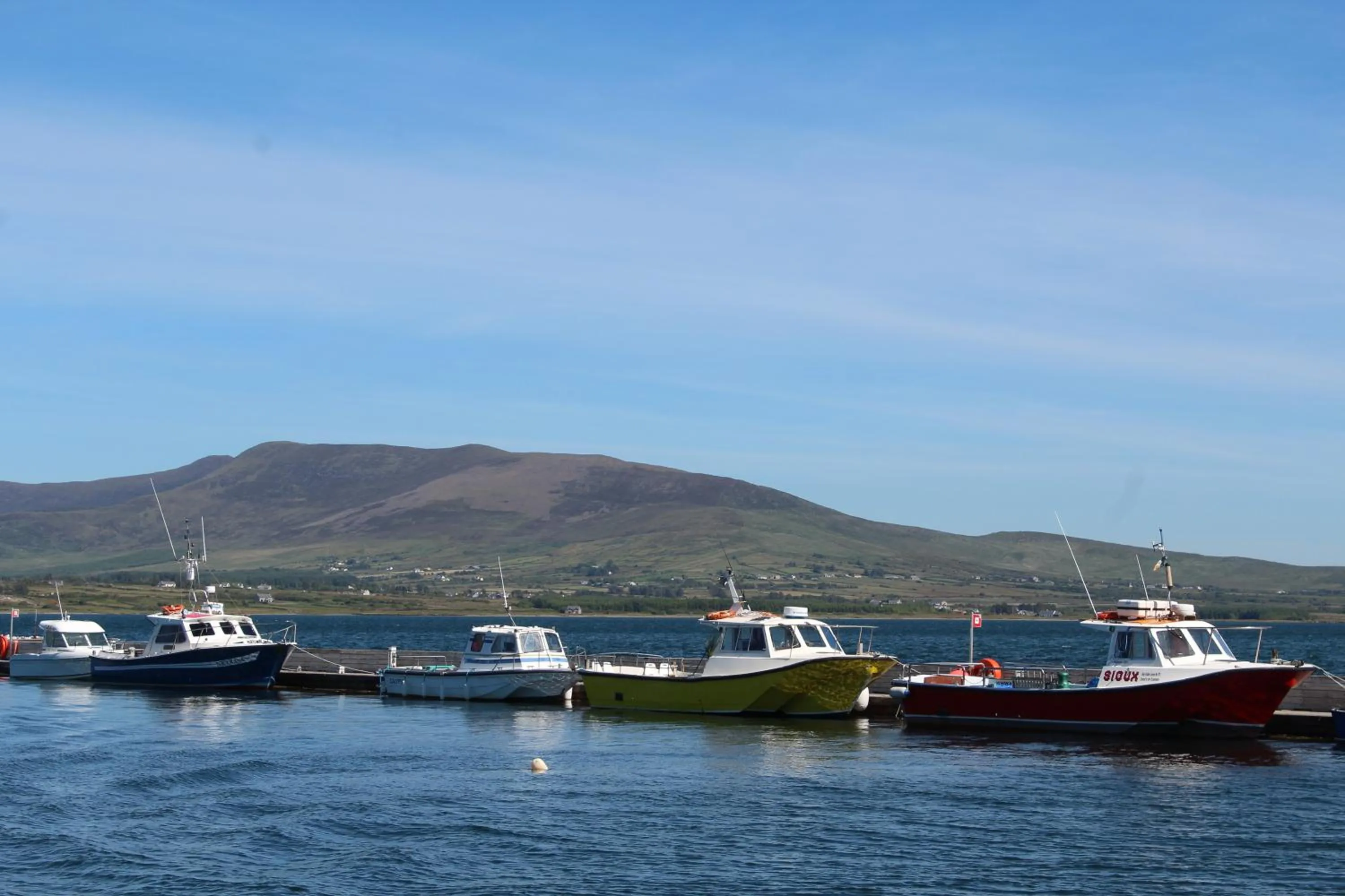 Natural landscape in Luachra Lodge