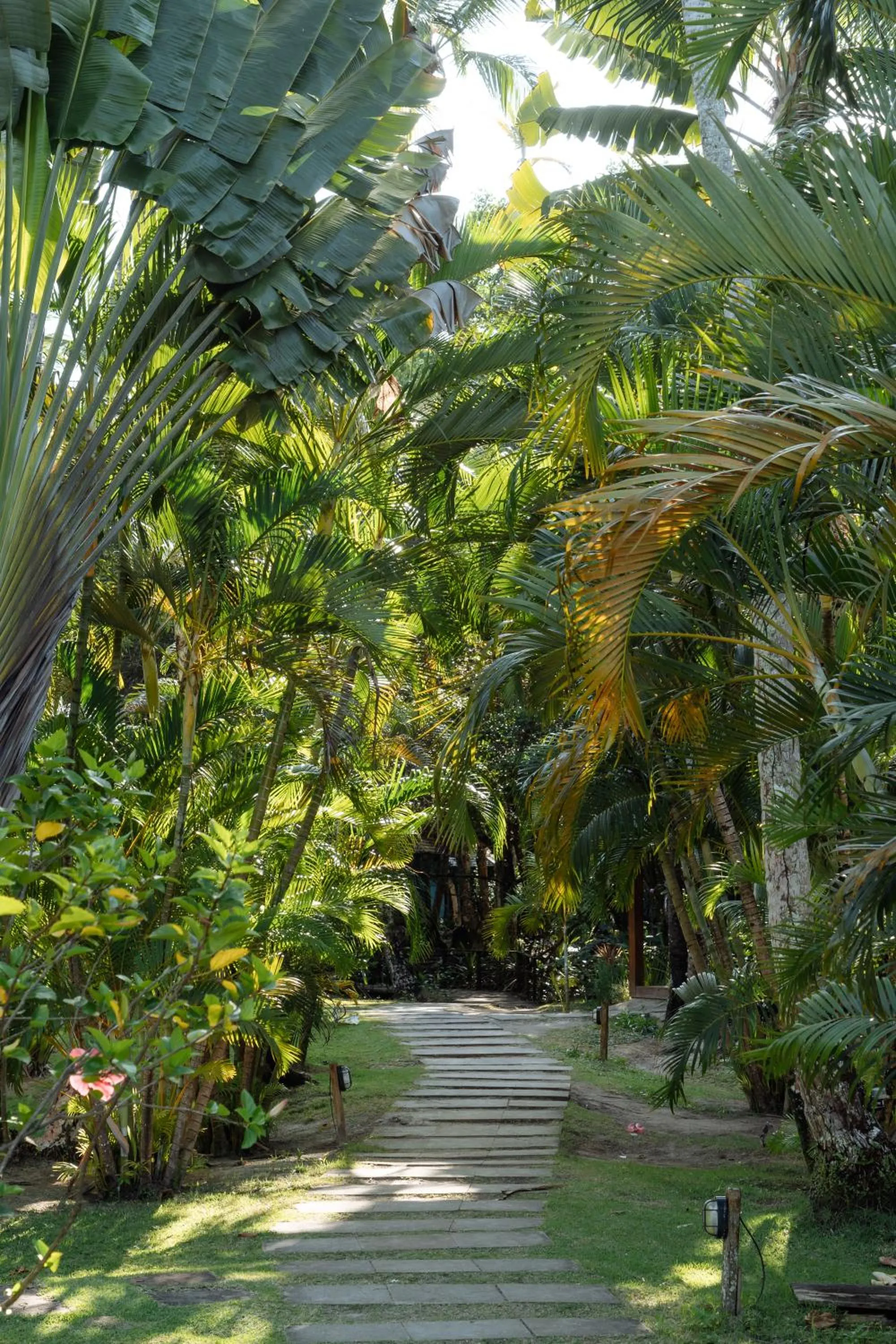 Garden in Vila Dos Orixás Boutique Hotel