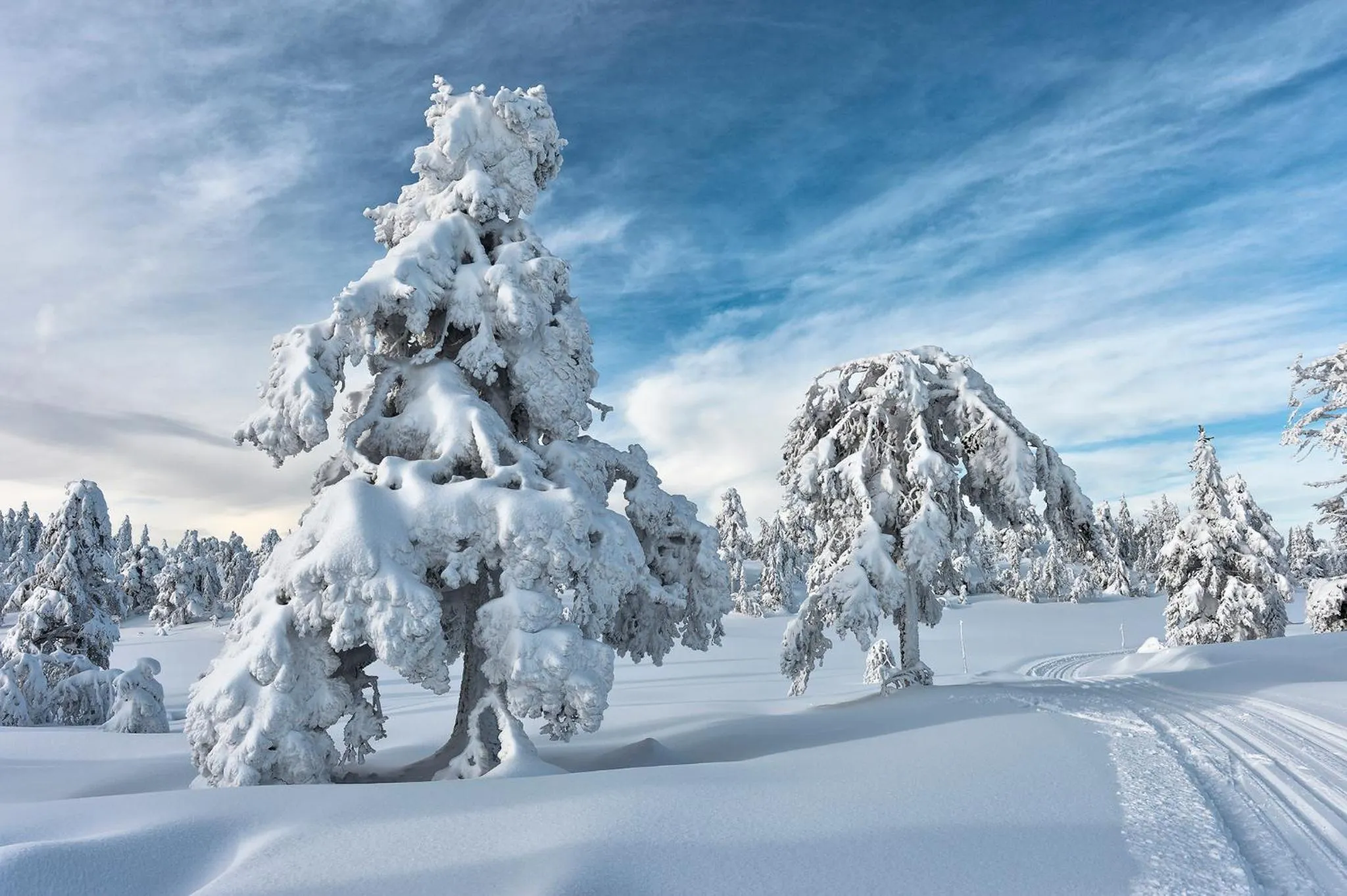 Skiing in Tyrifjord Hotell