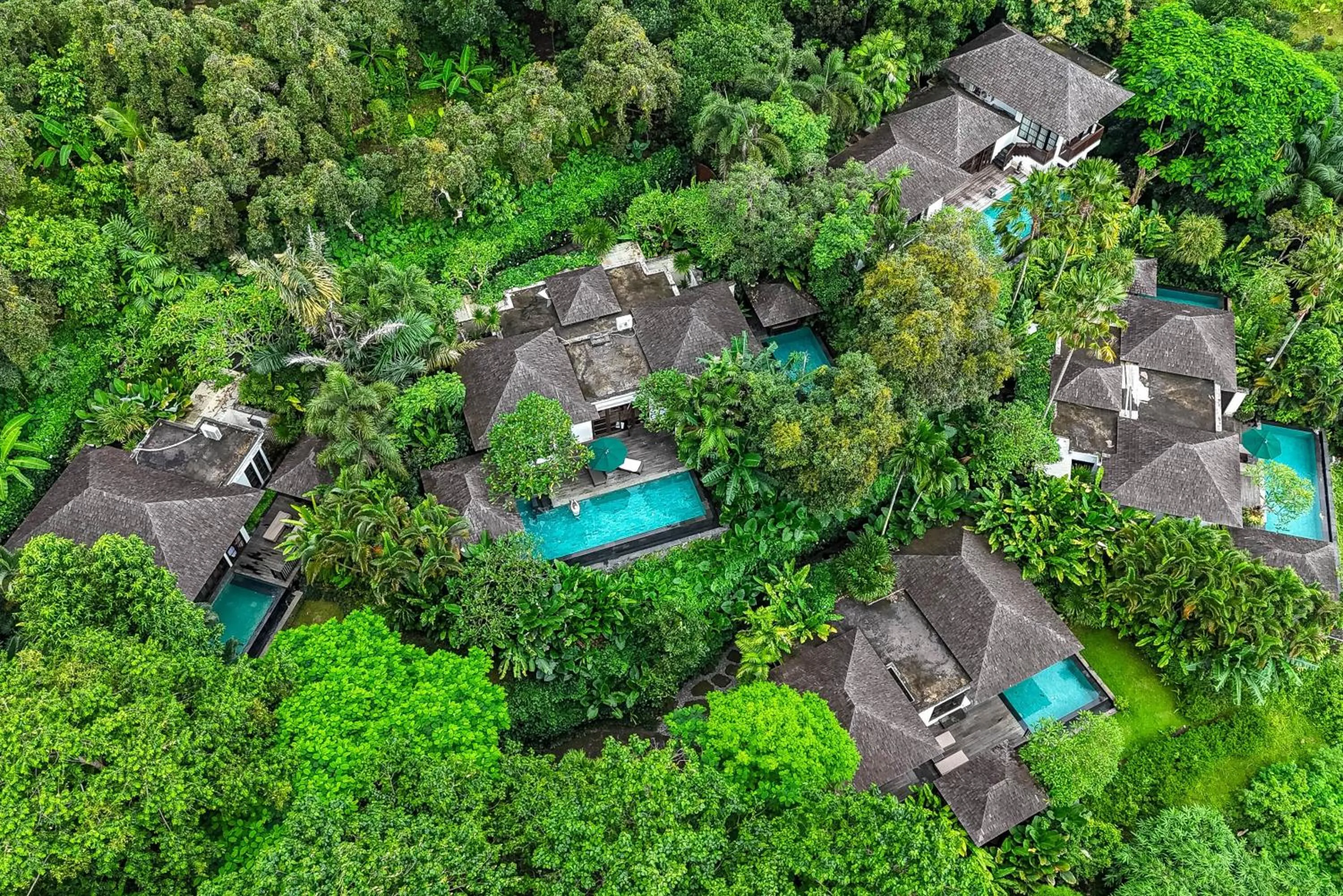 Property building in The Damai