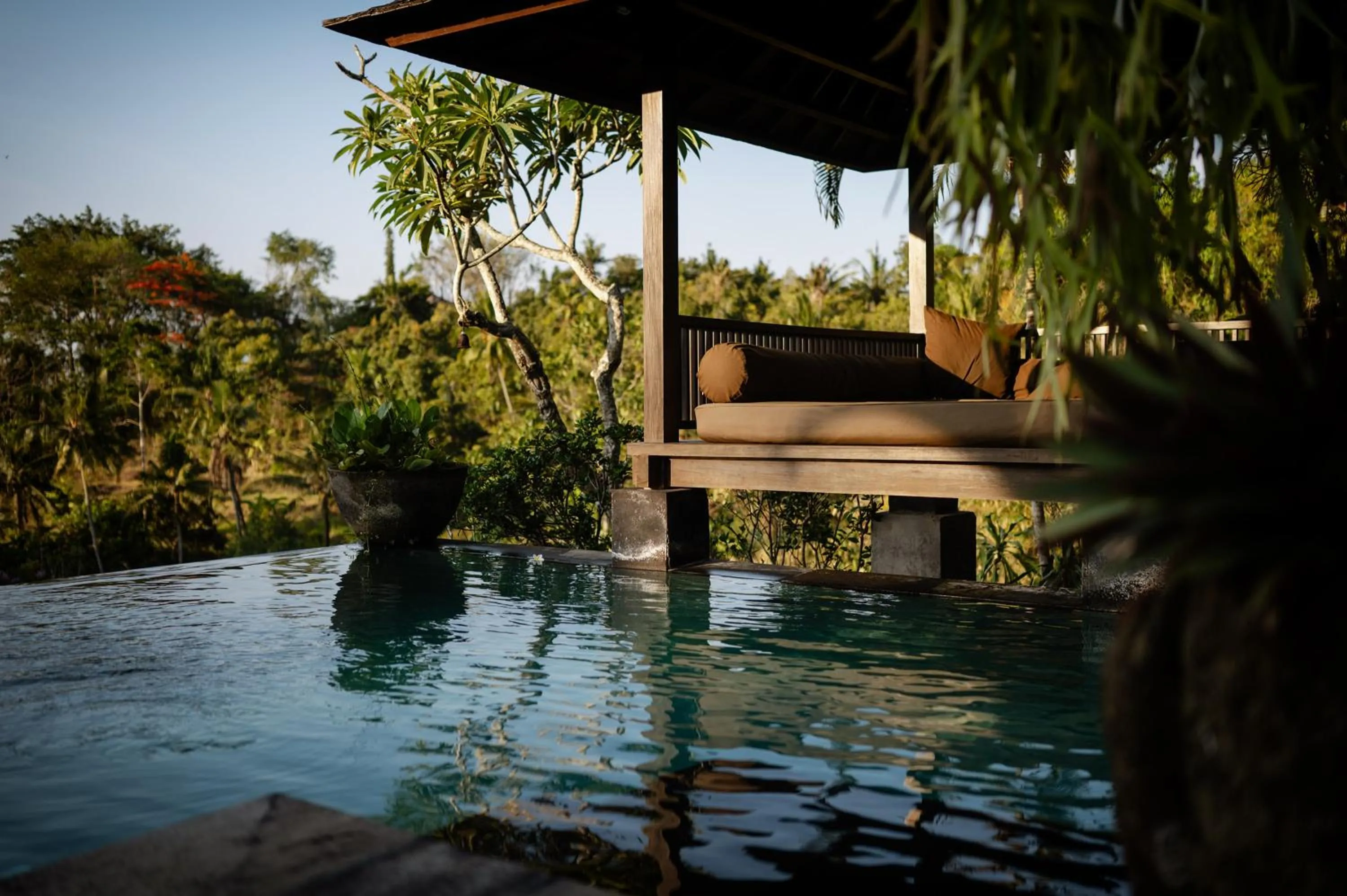 Swimming pool in The Damai