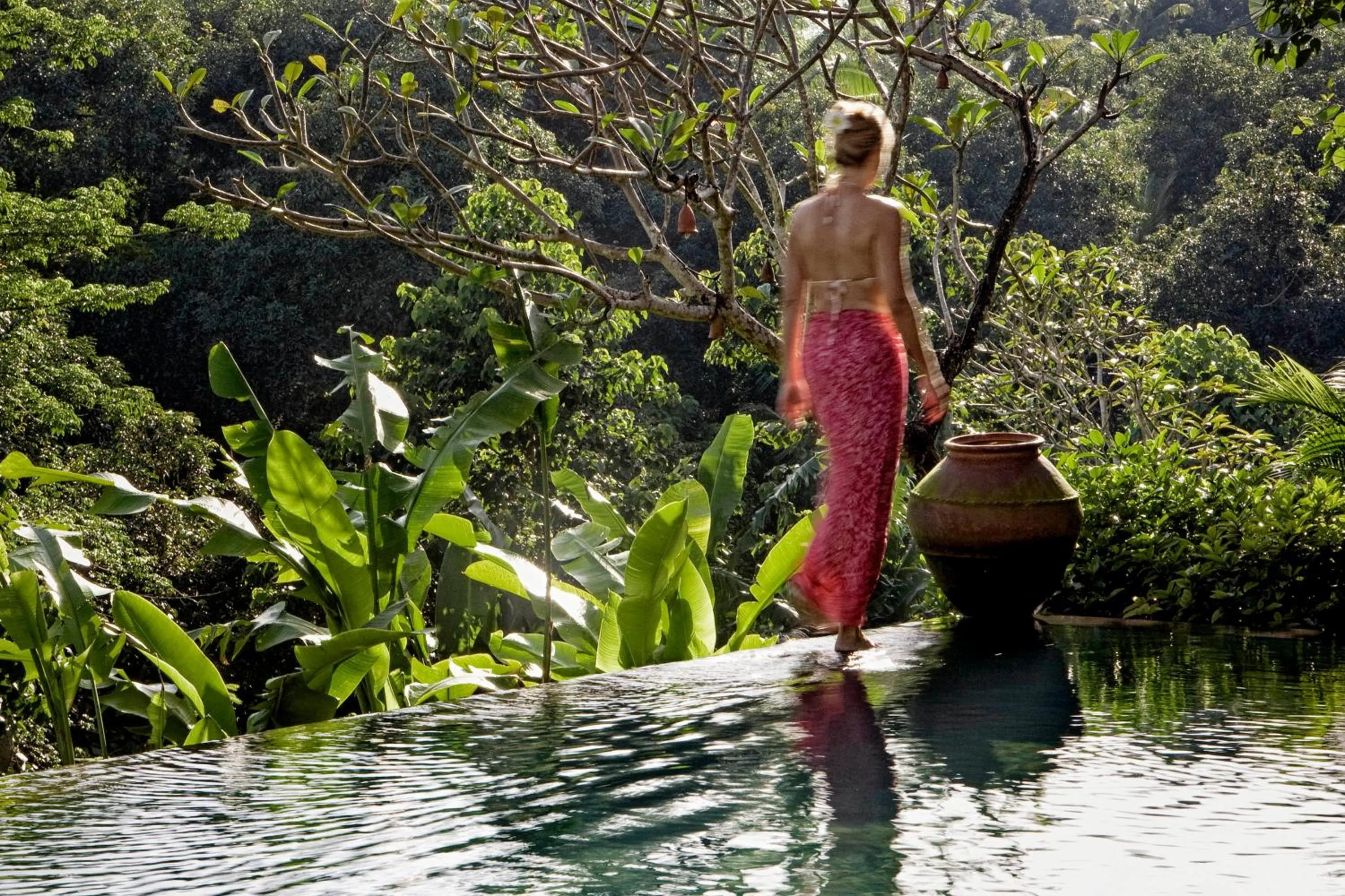 Garden view in The Damai