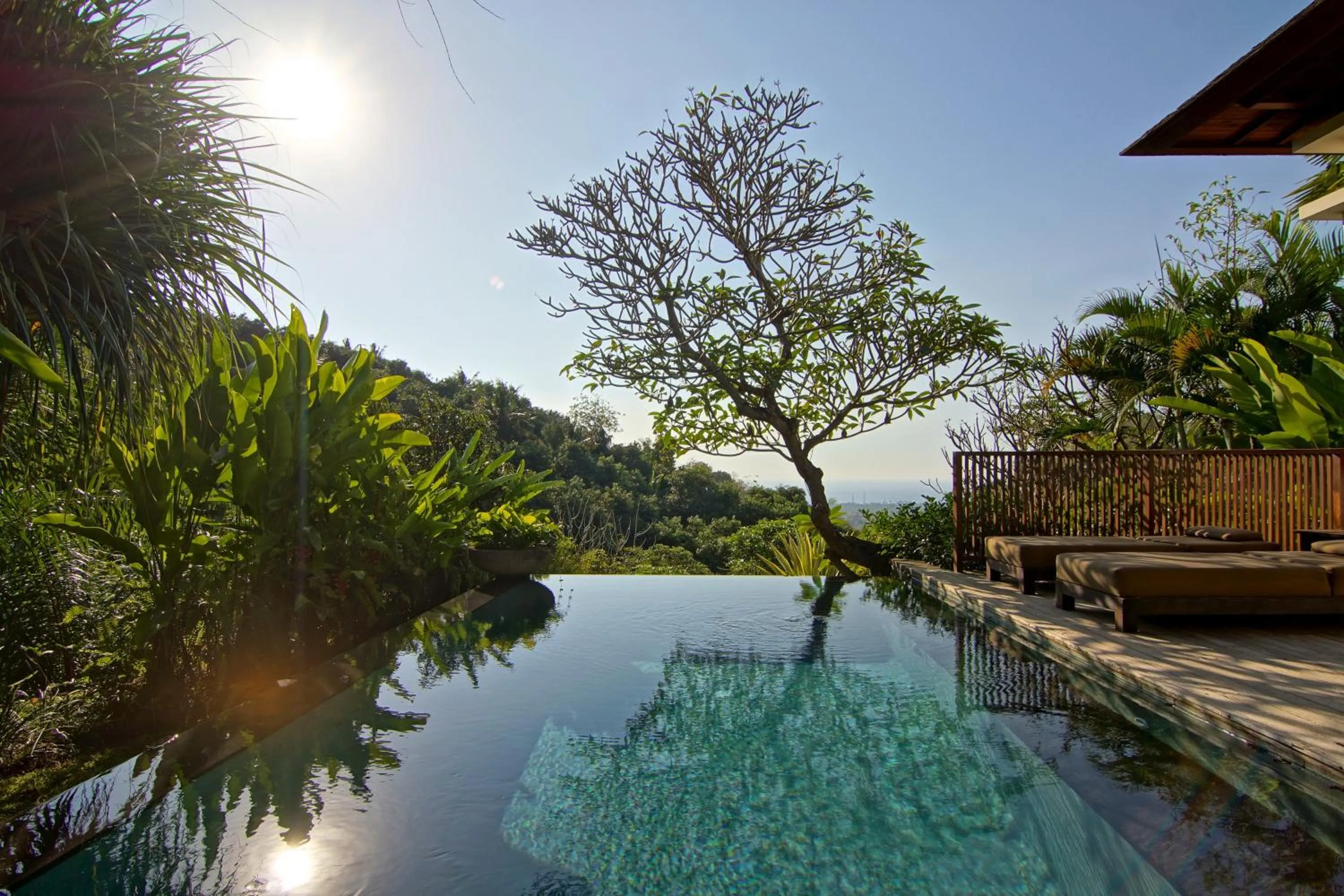 Swimming pool in The Damai