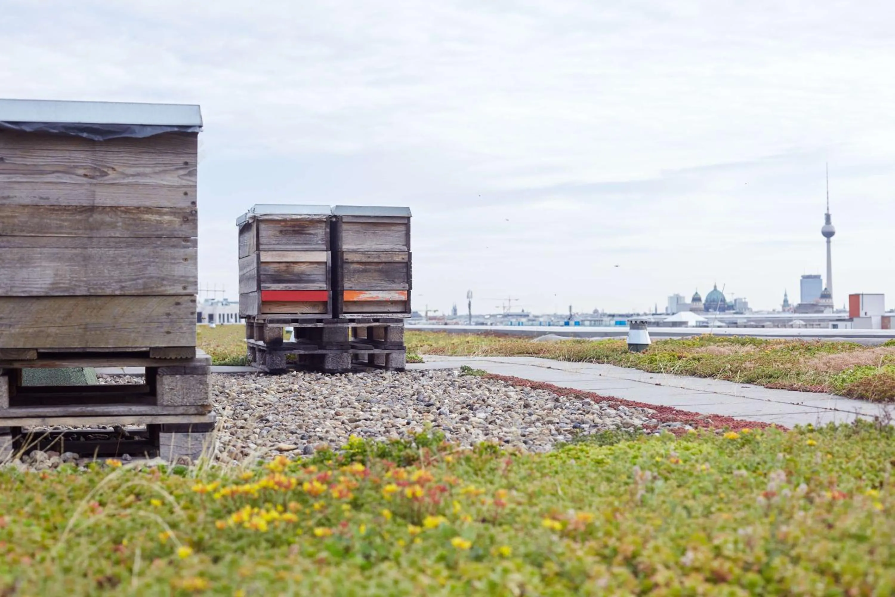 Property building in Scandic Berlin Potsdamer Platz