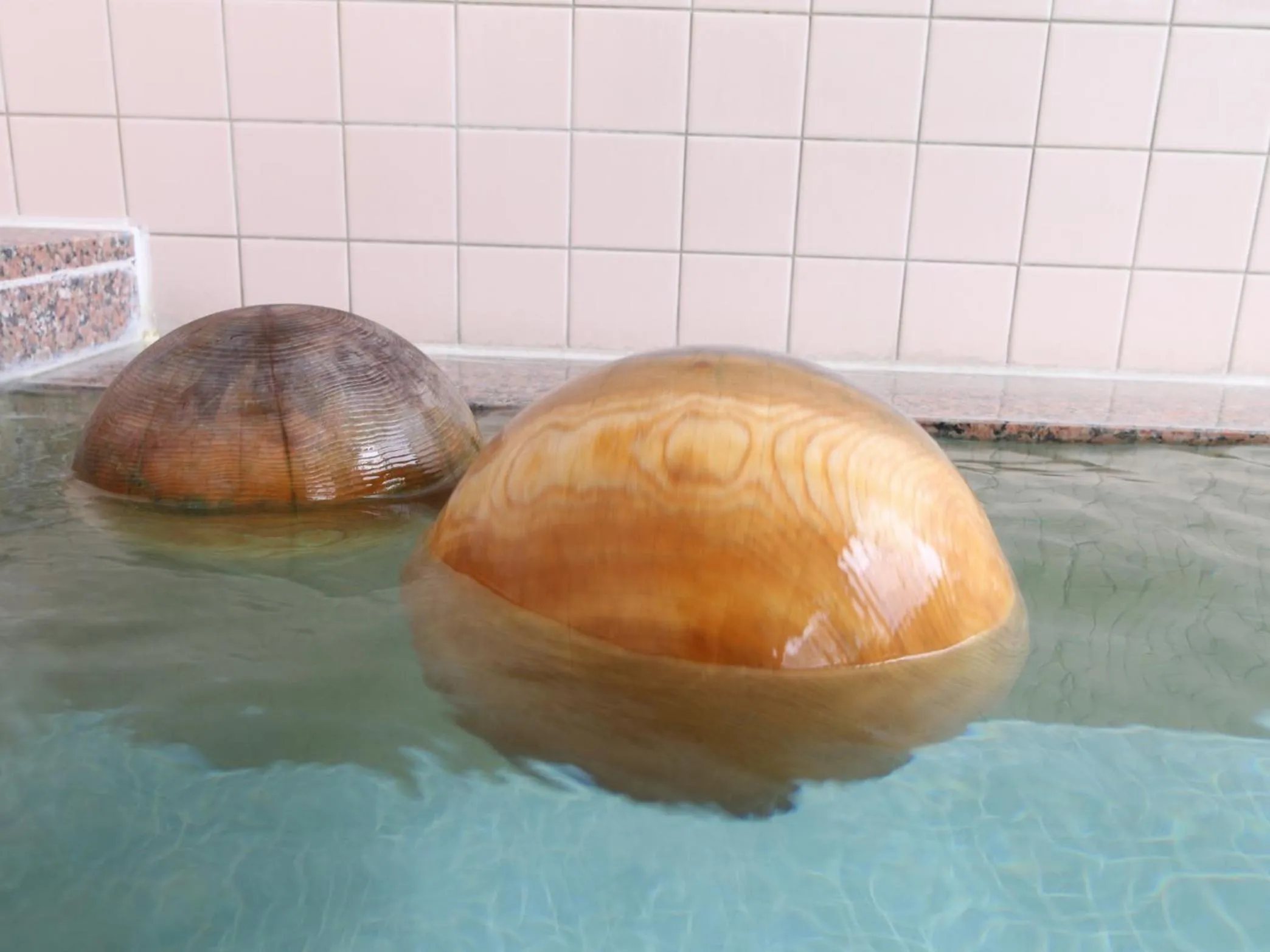 Hot Spring Bath in Komao