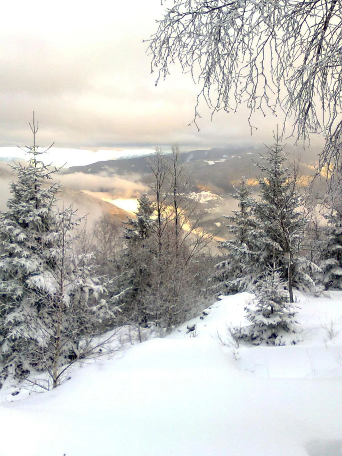 Natural landscape in Hotel Tirol- Natural Idyll