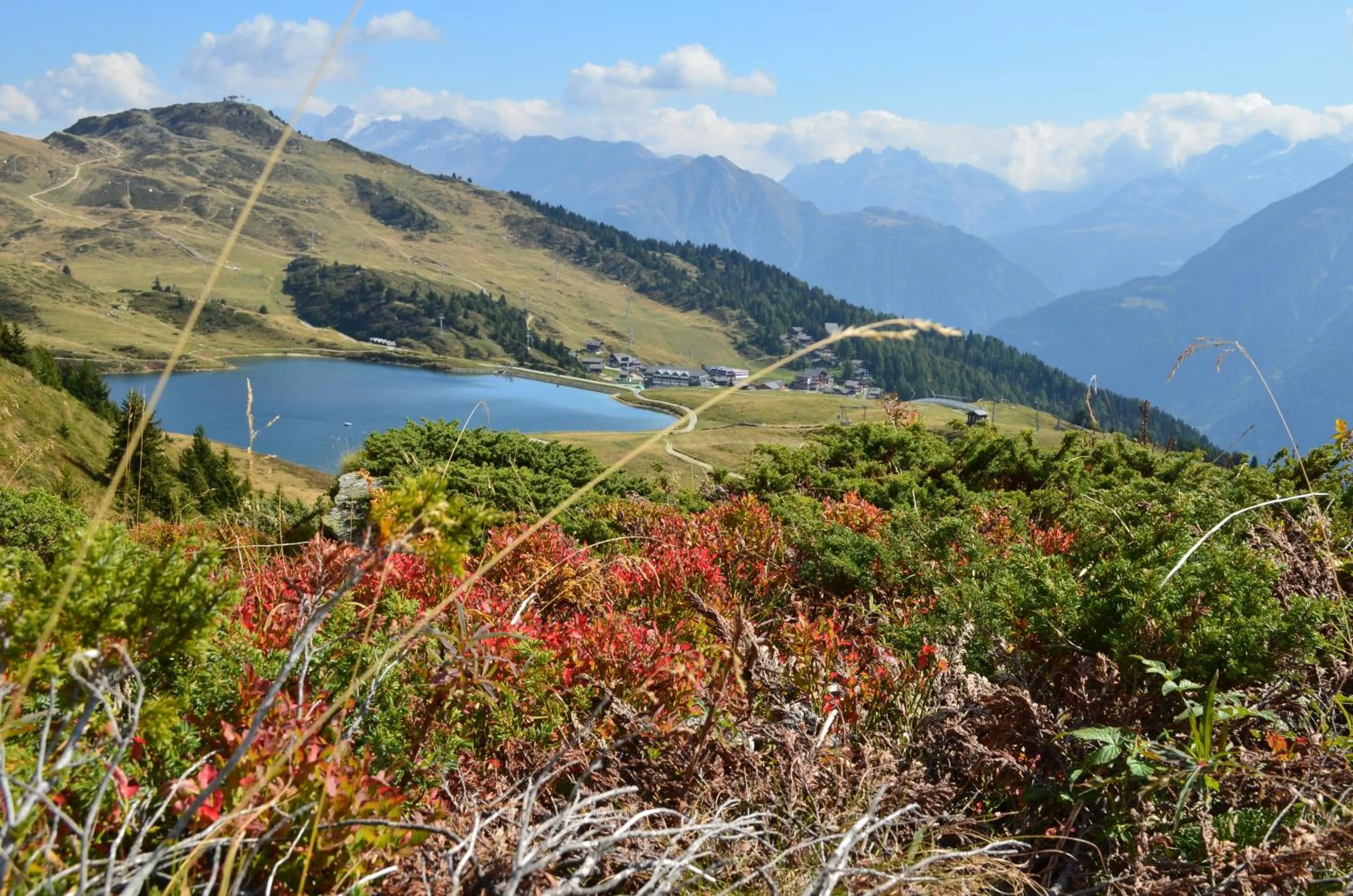 Natural landscape in Hotel Fiescherhof