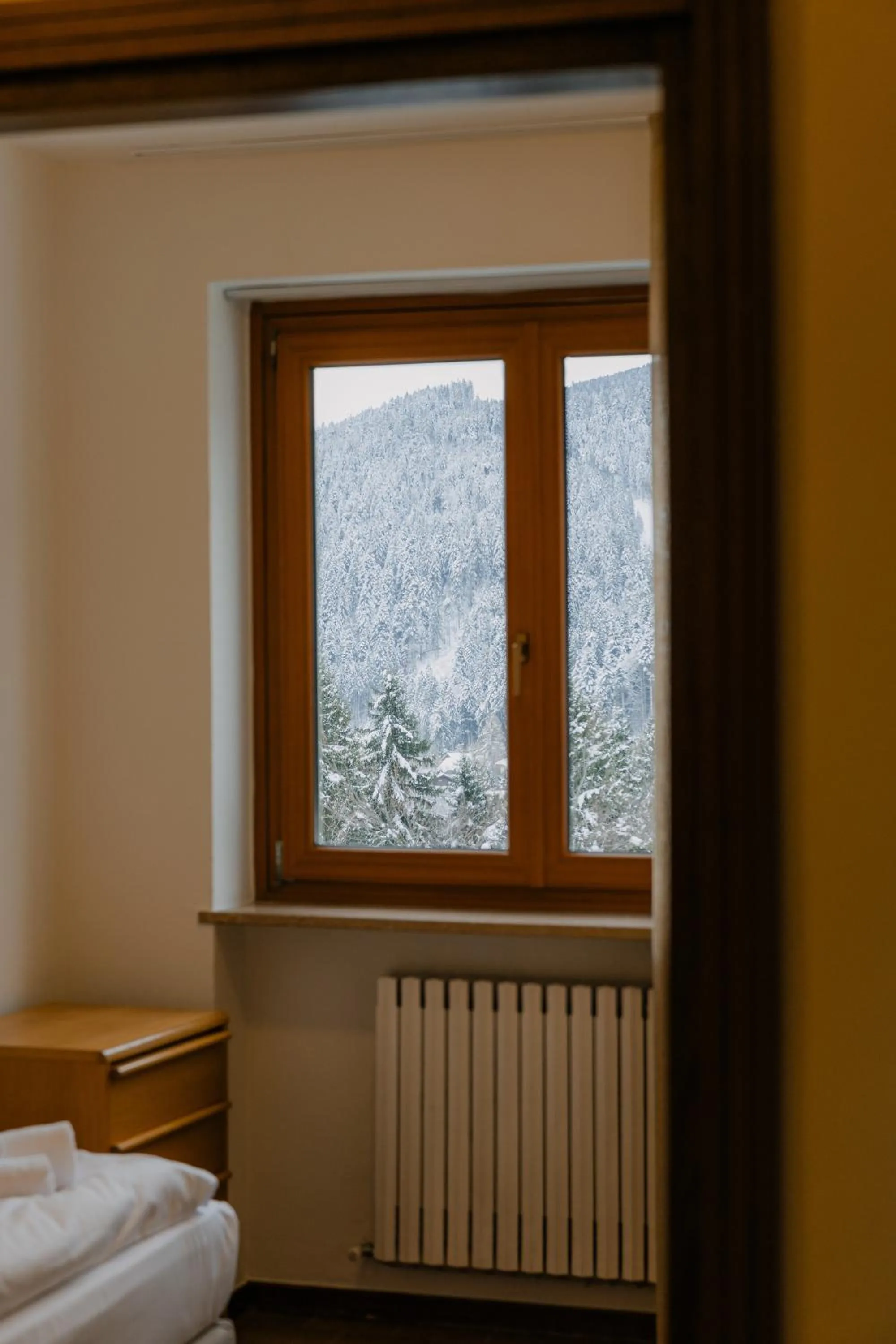 Mountain view, Bed in Hotel Costaverde "ai Roni"