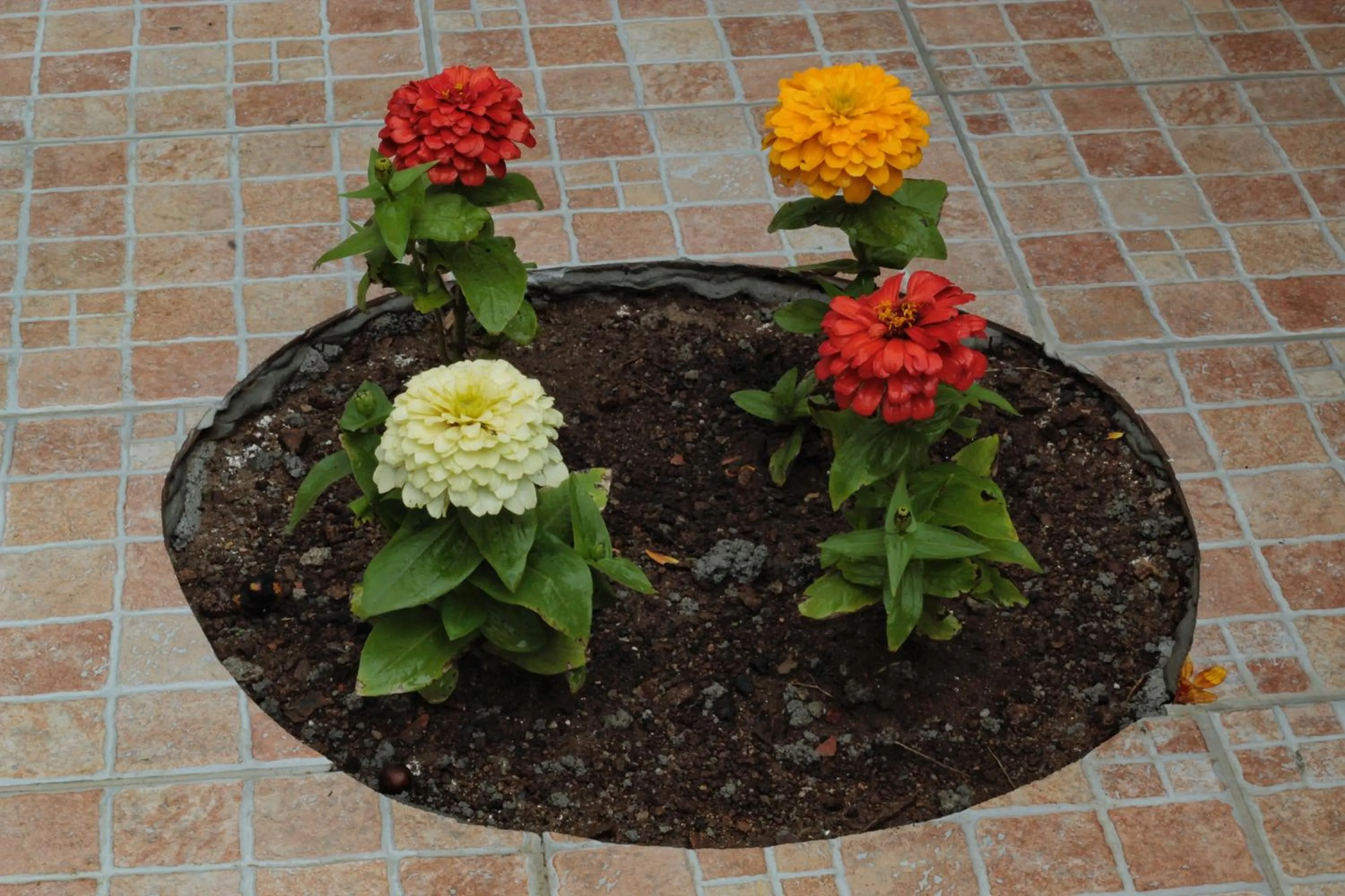 Garden in B&B Verzavò