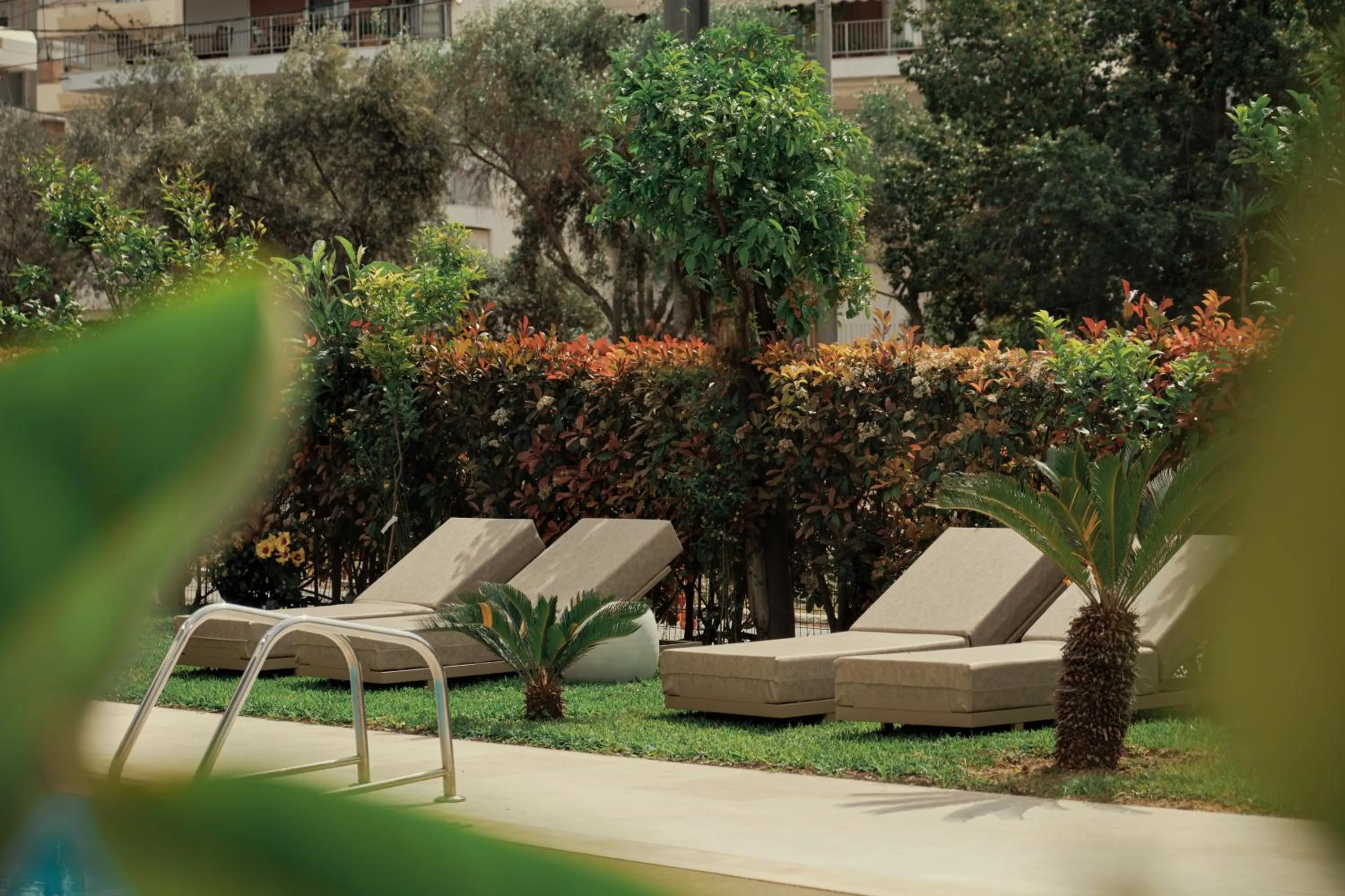 Garden in Golden Sun Hotel