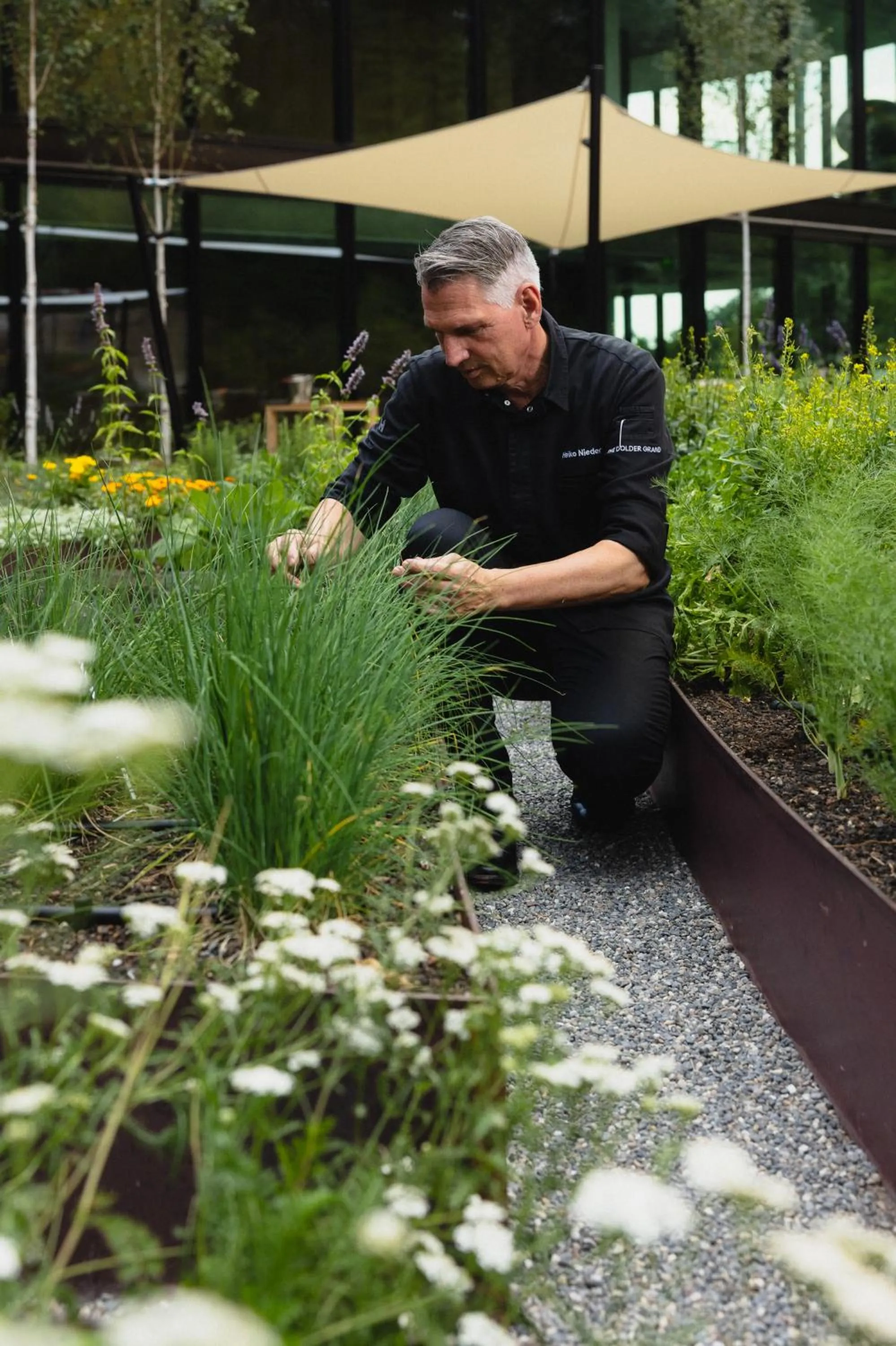 Restaurant/places to eat in The Dolder Grand - City and Spa Resort Zurich