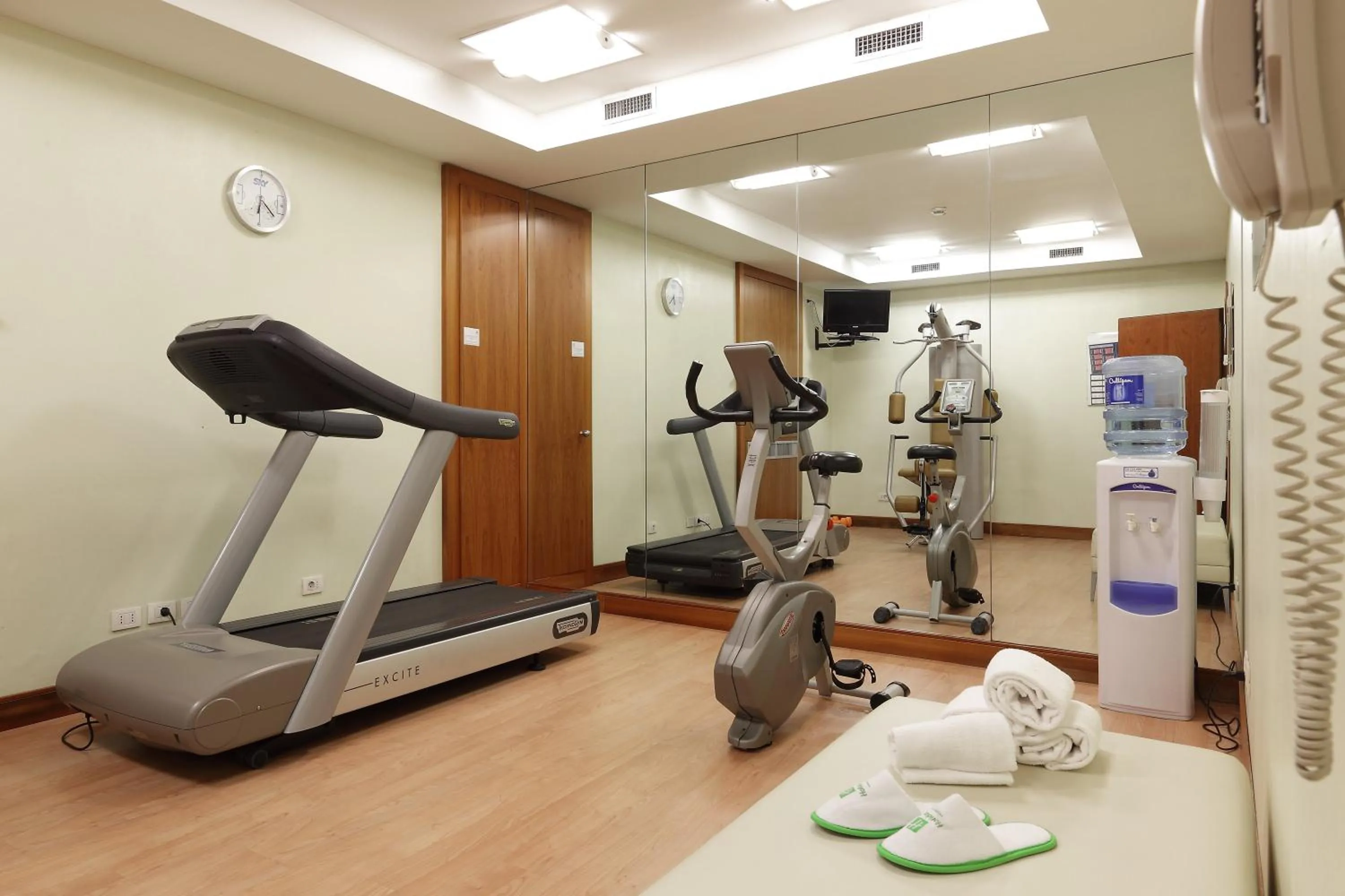 Fitness centre/facilities in Holiday Inn Milan Nord Zara by IHG
