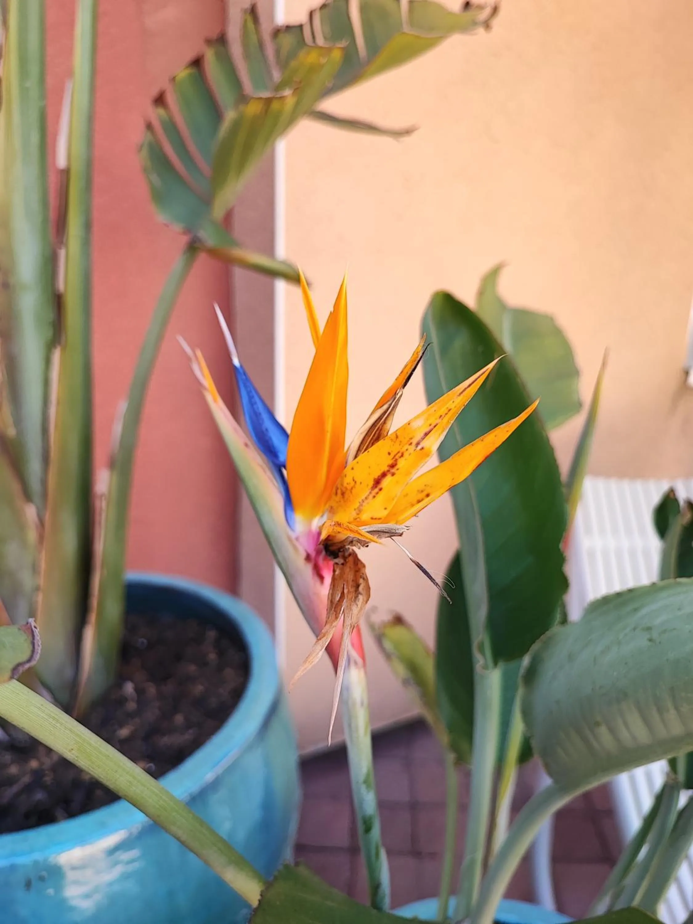 Swimming pool in Logis Hotel De La Clape