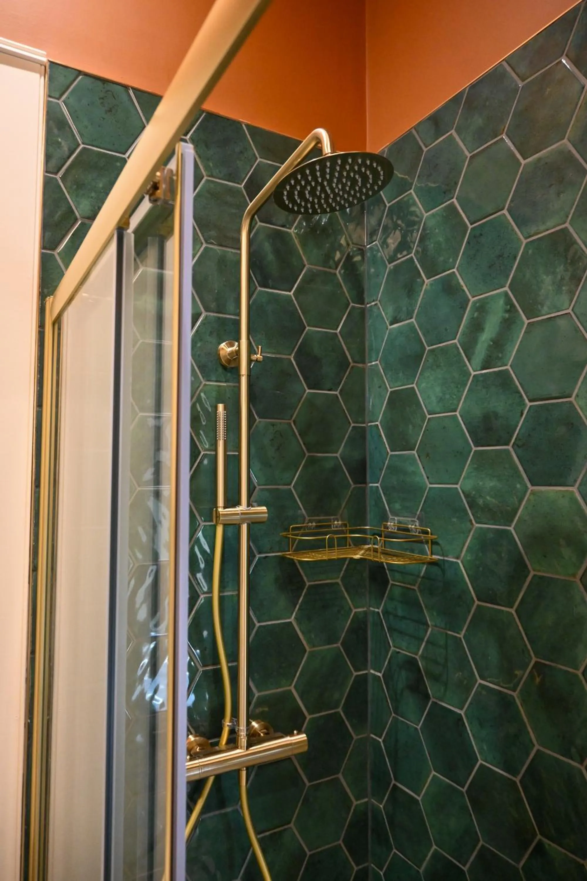 Shower in The Apple Inn