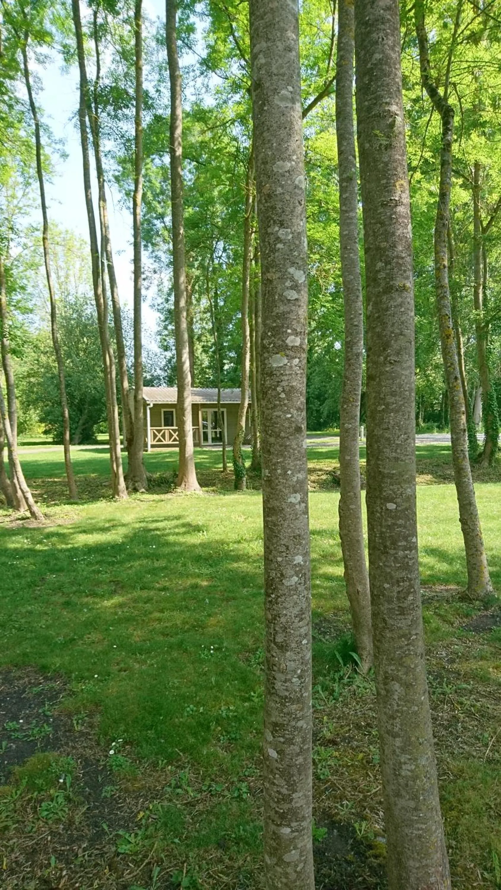 Garden in Terres de France - Moncontour Active Park