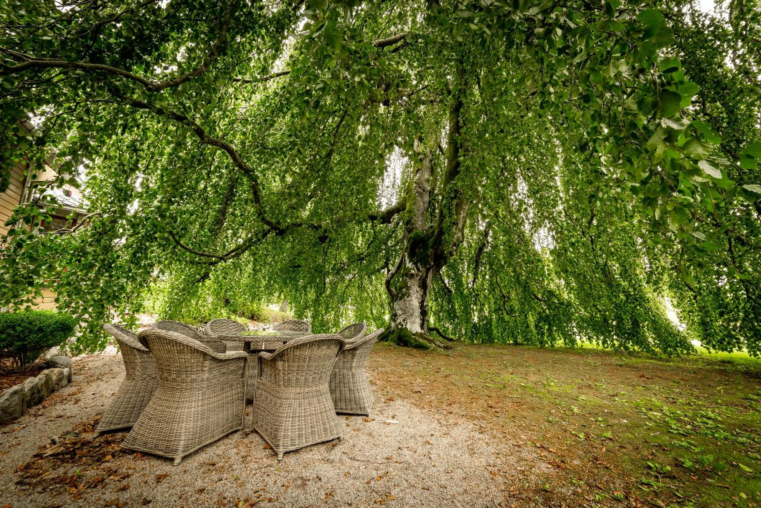 Garden in Kronen Gaard Hotel