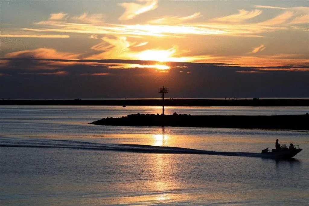 Area and facilities in Hotel Velsen