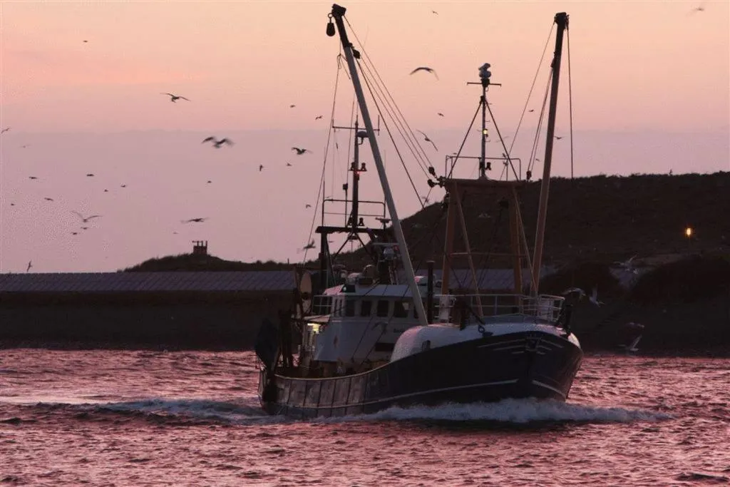 Other in Hotel Velsen